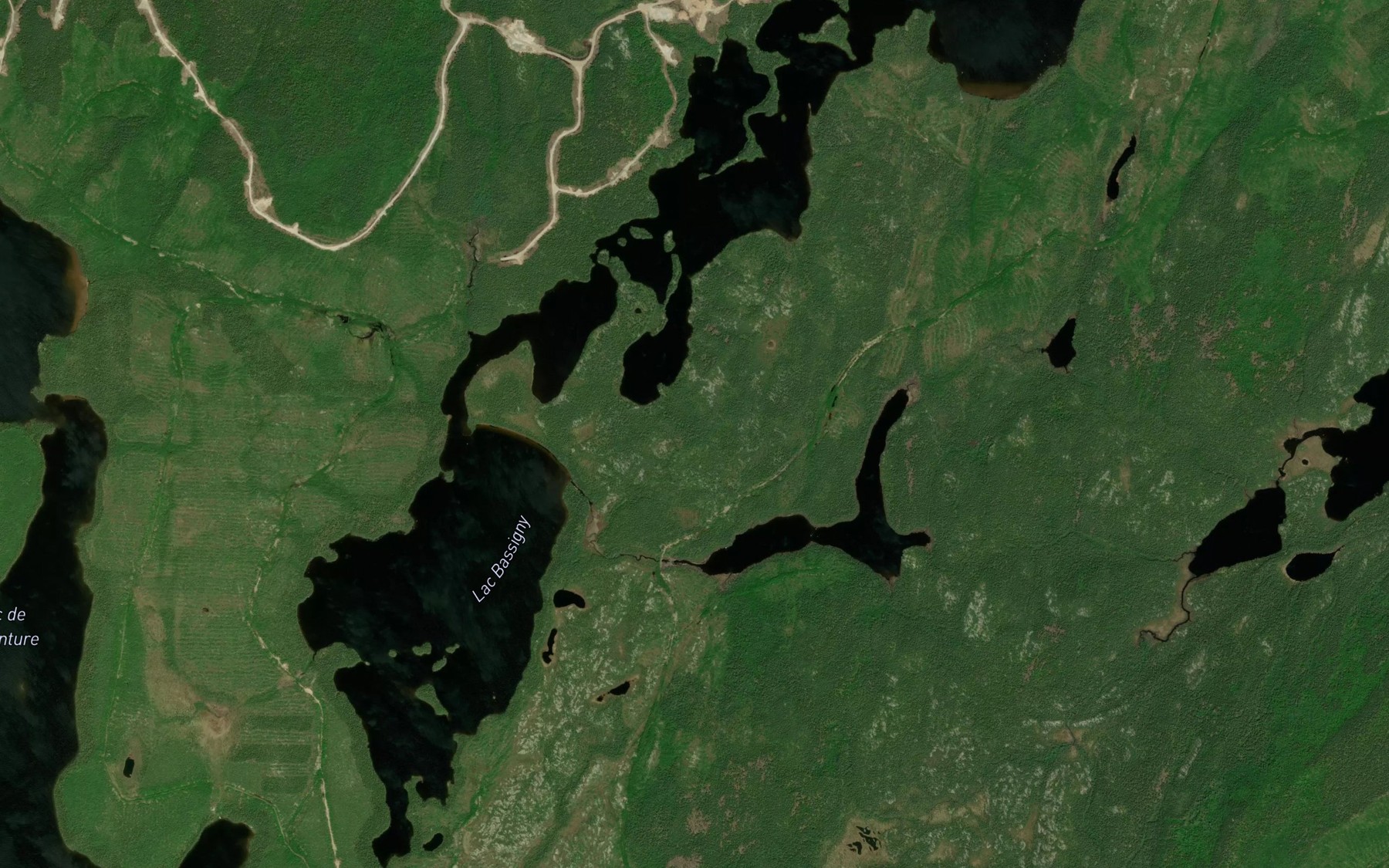 Satellite map of the Lac Bassigny