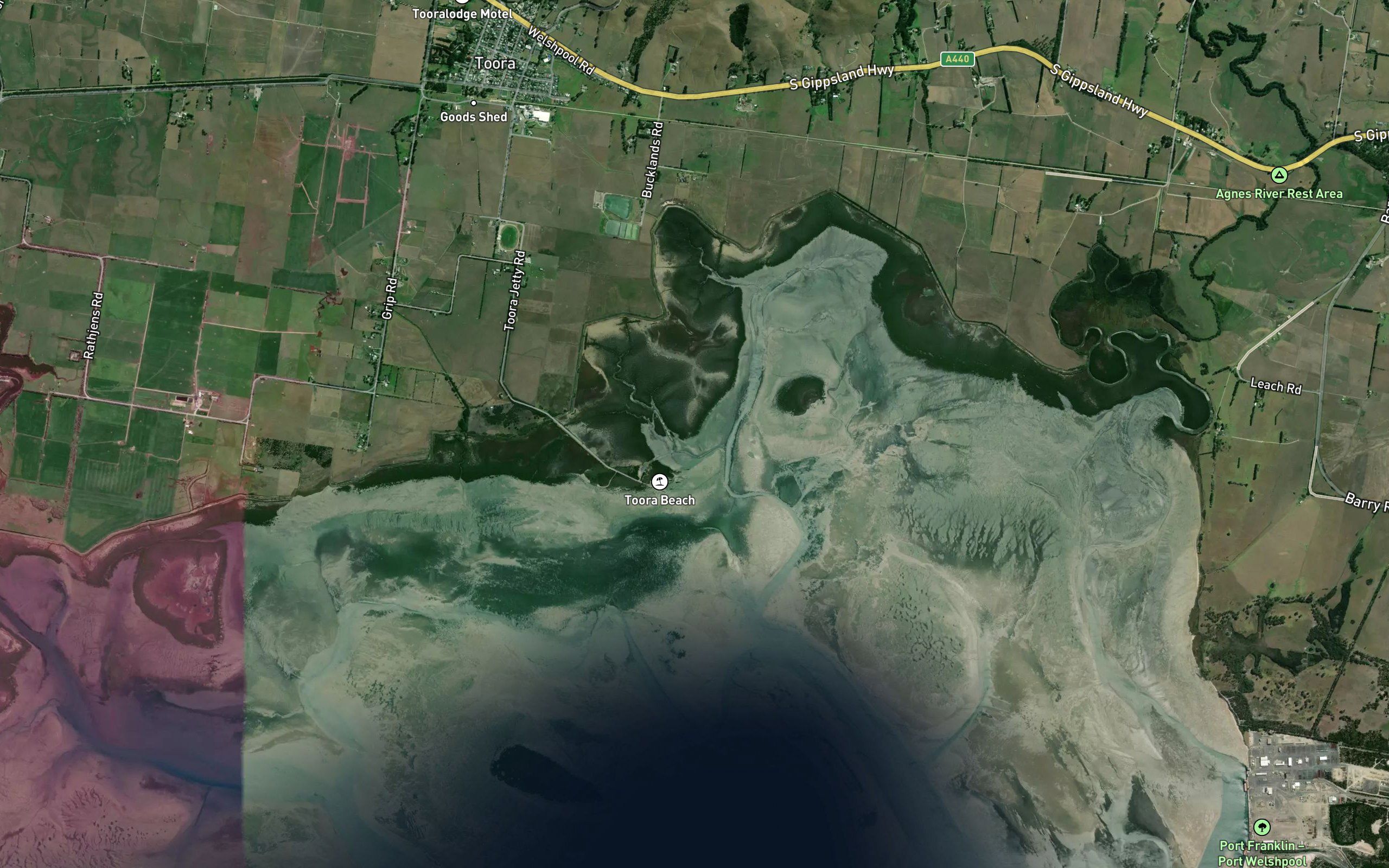 Swan Bay