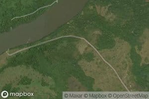 Kogo
