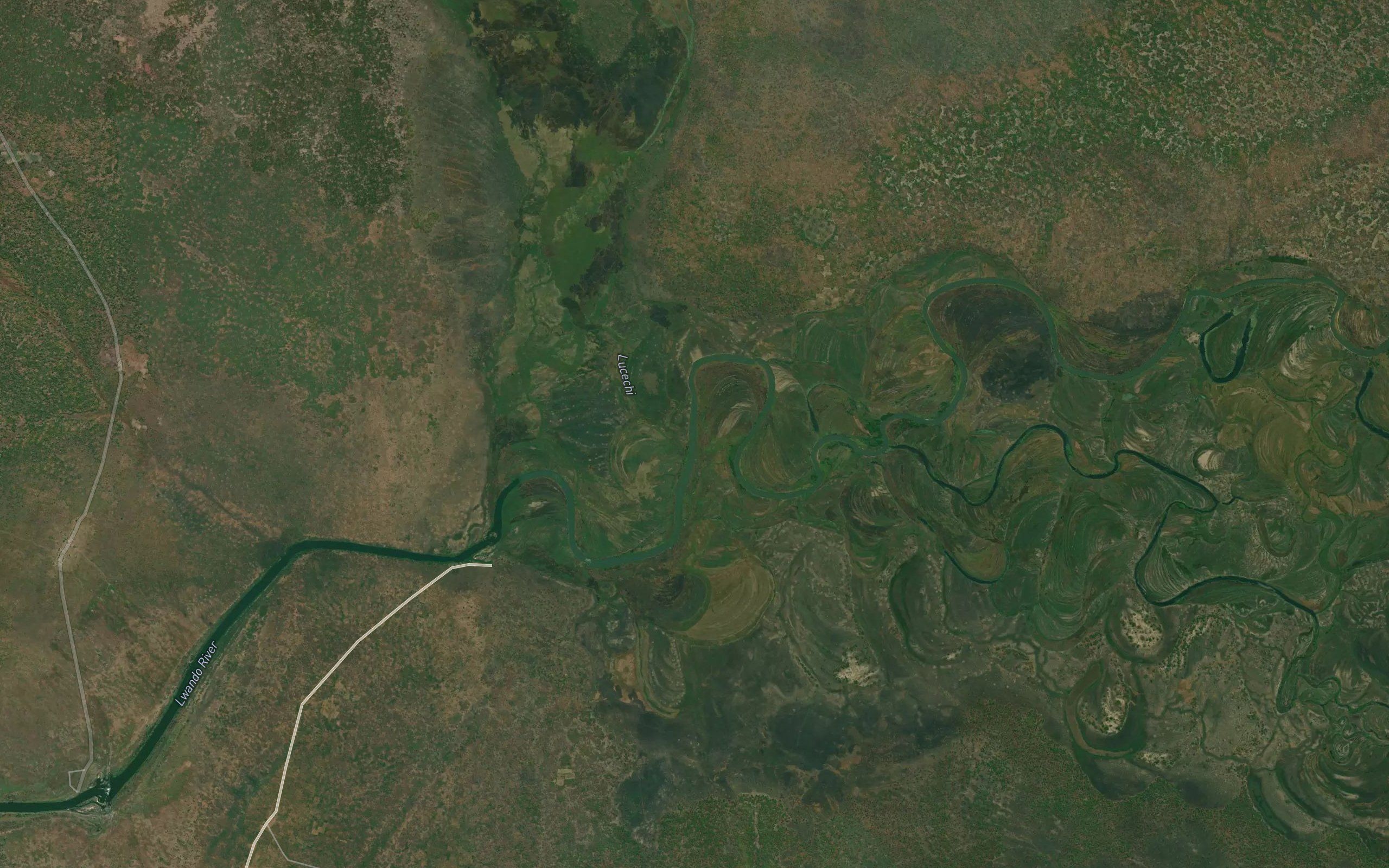 Lussechi