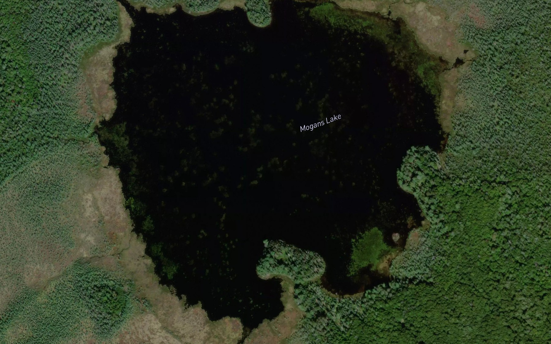 Satellite map of the Mogans Lake