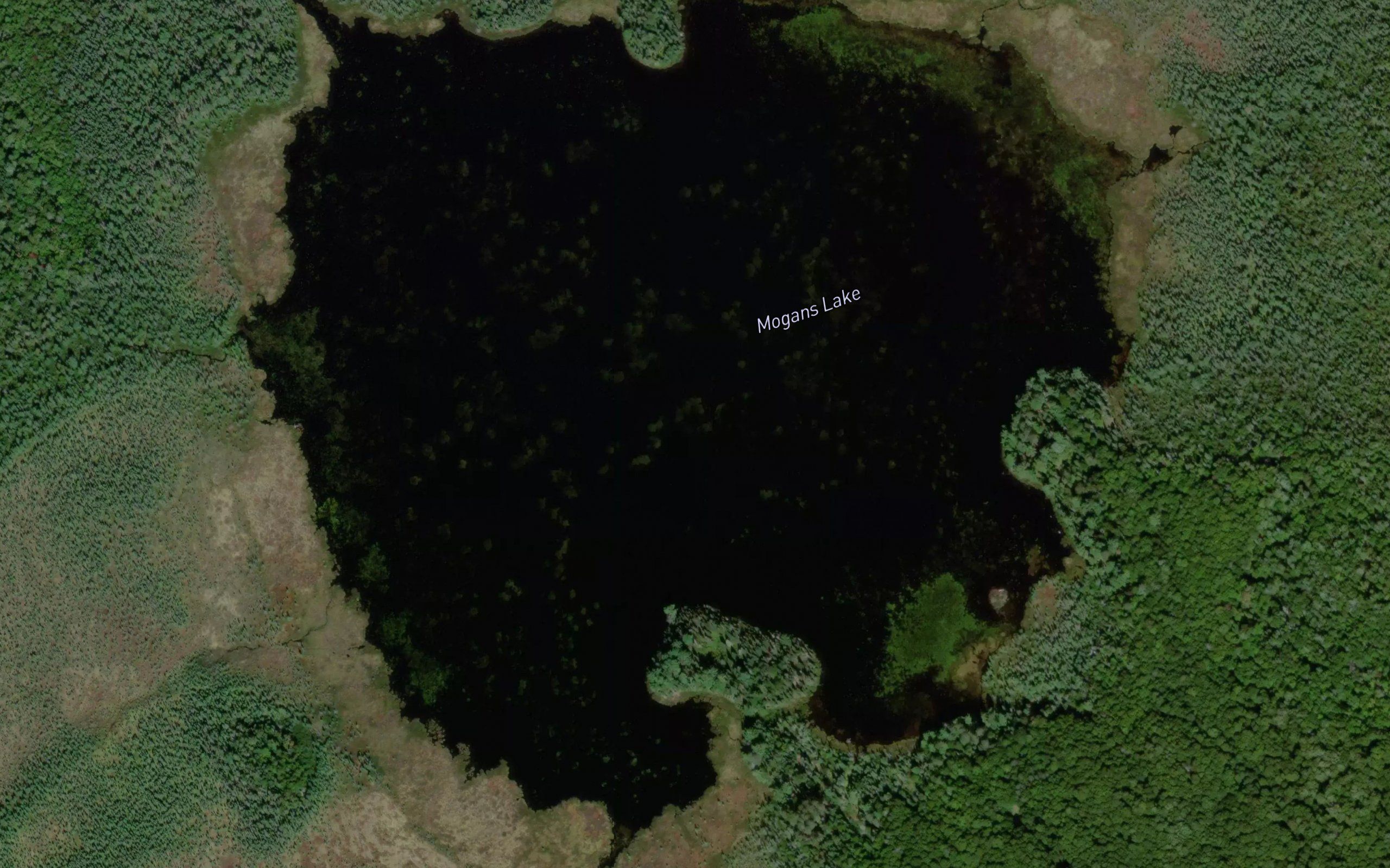 Mogans Lake