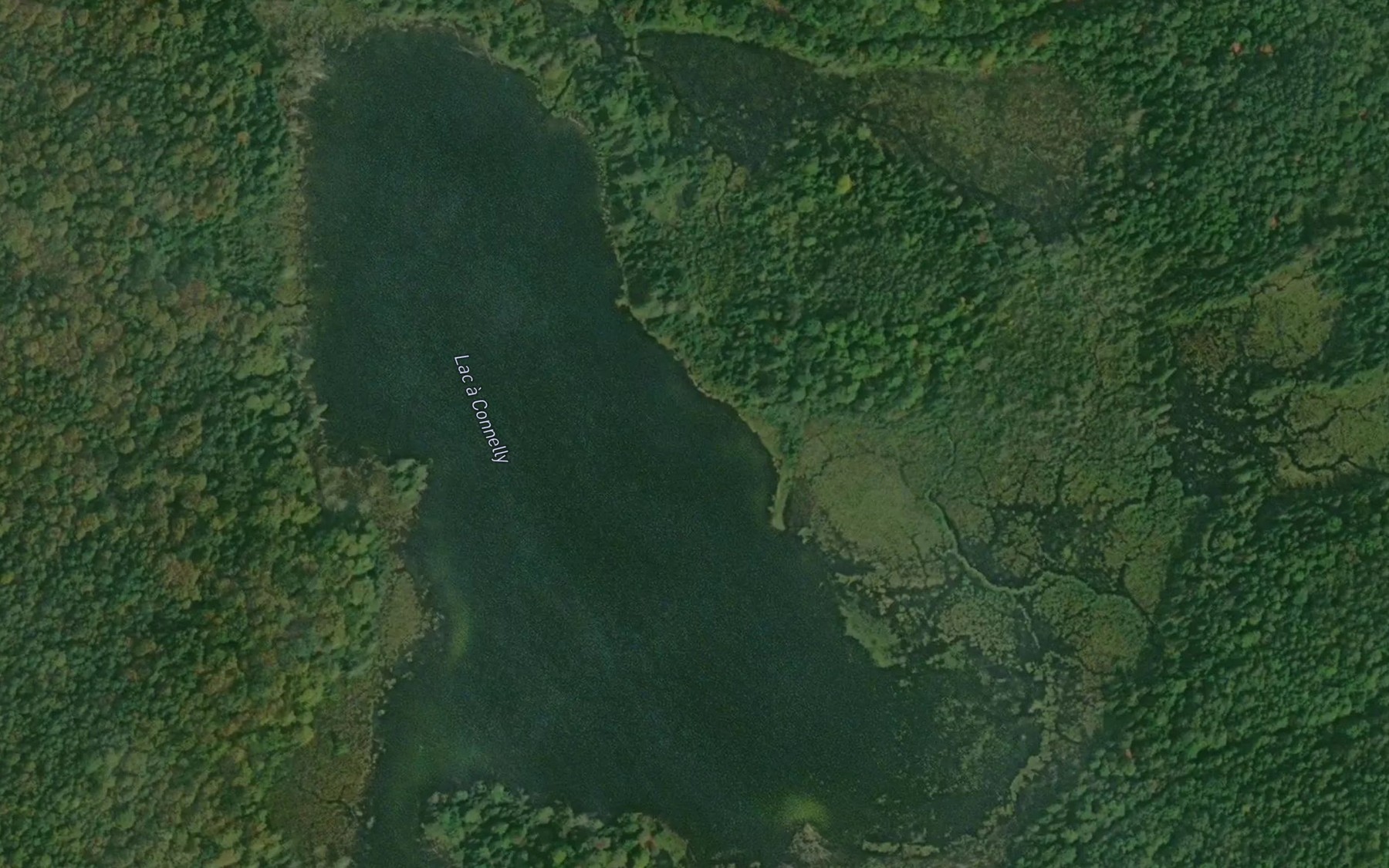 Satellite map of the Lac a Connelly