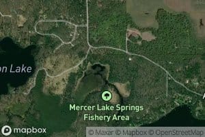 Mercer Springs