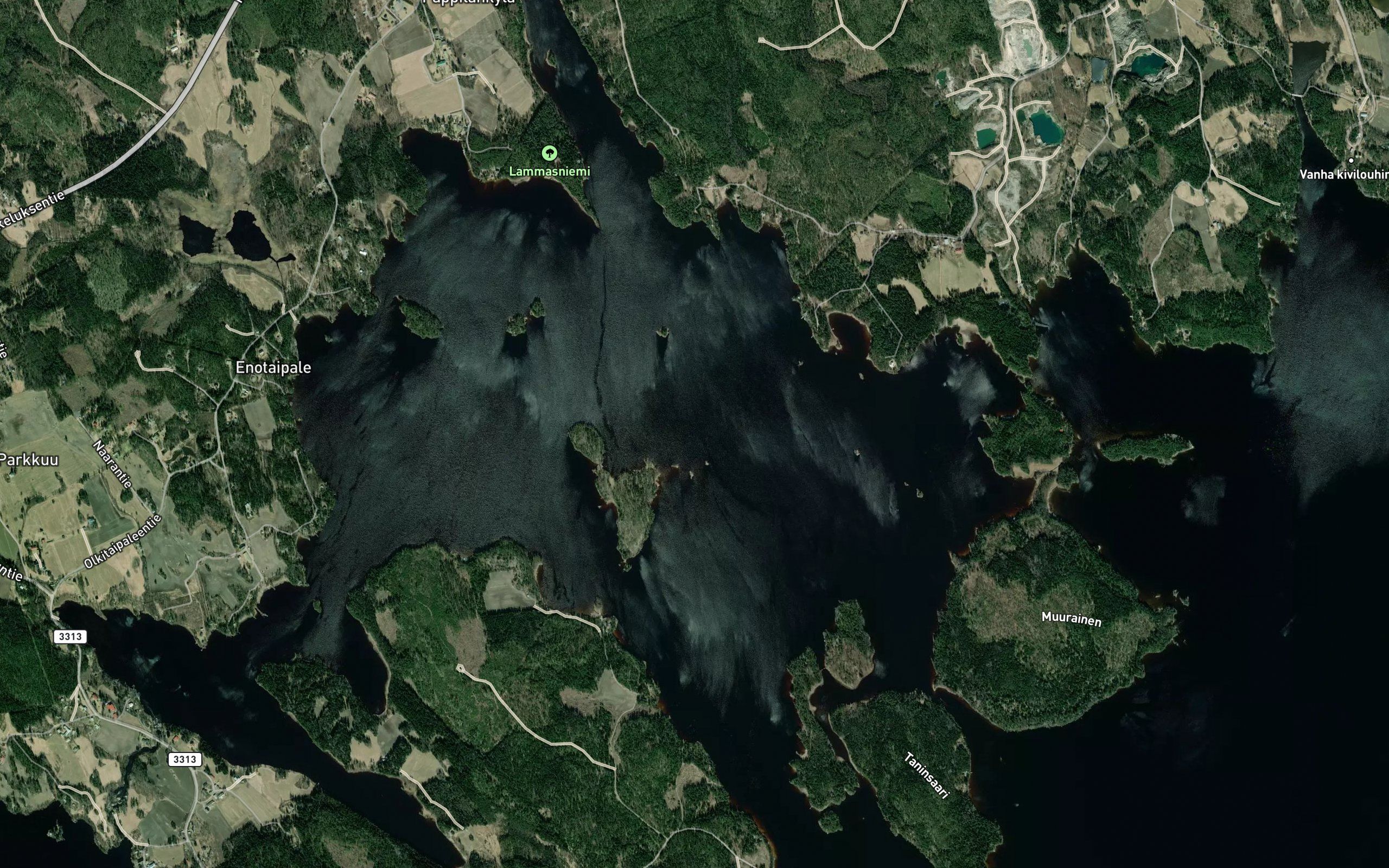 Kukkulanselka