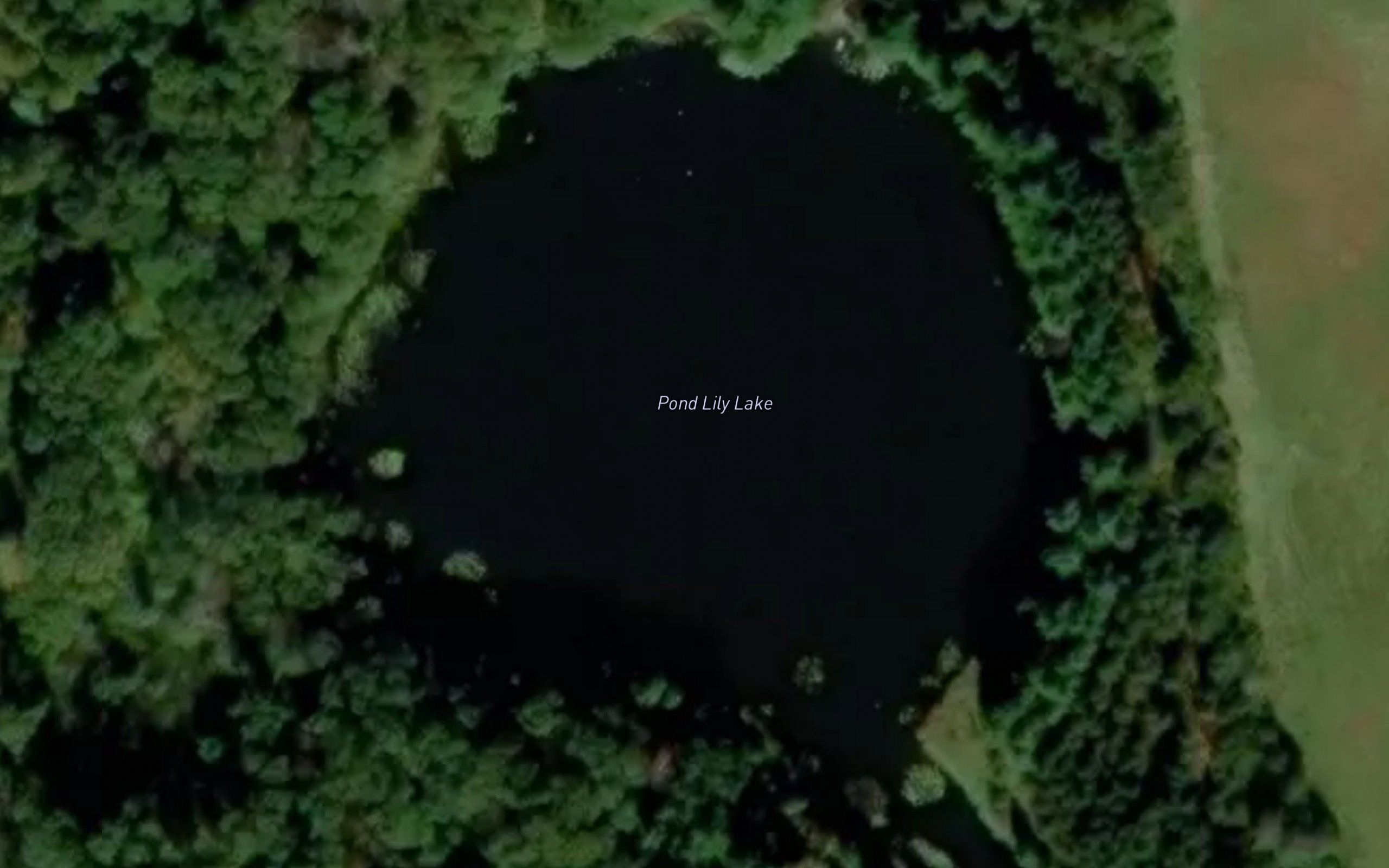 Pond Lily Lake