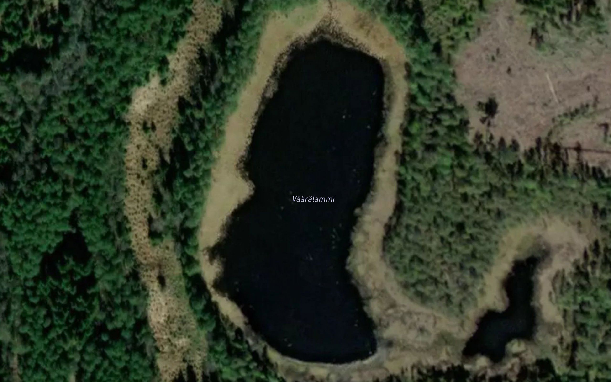 Vaaralammi