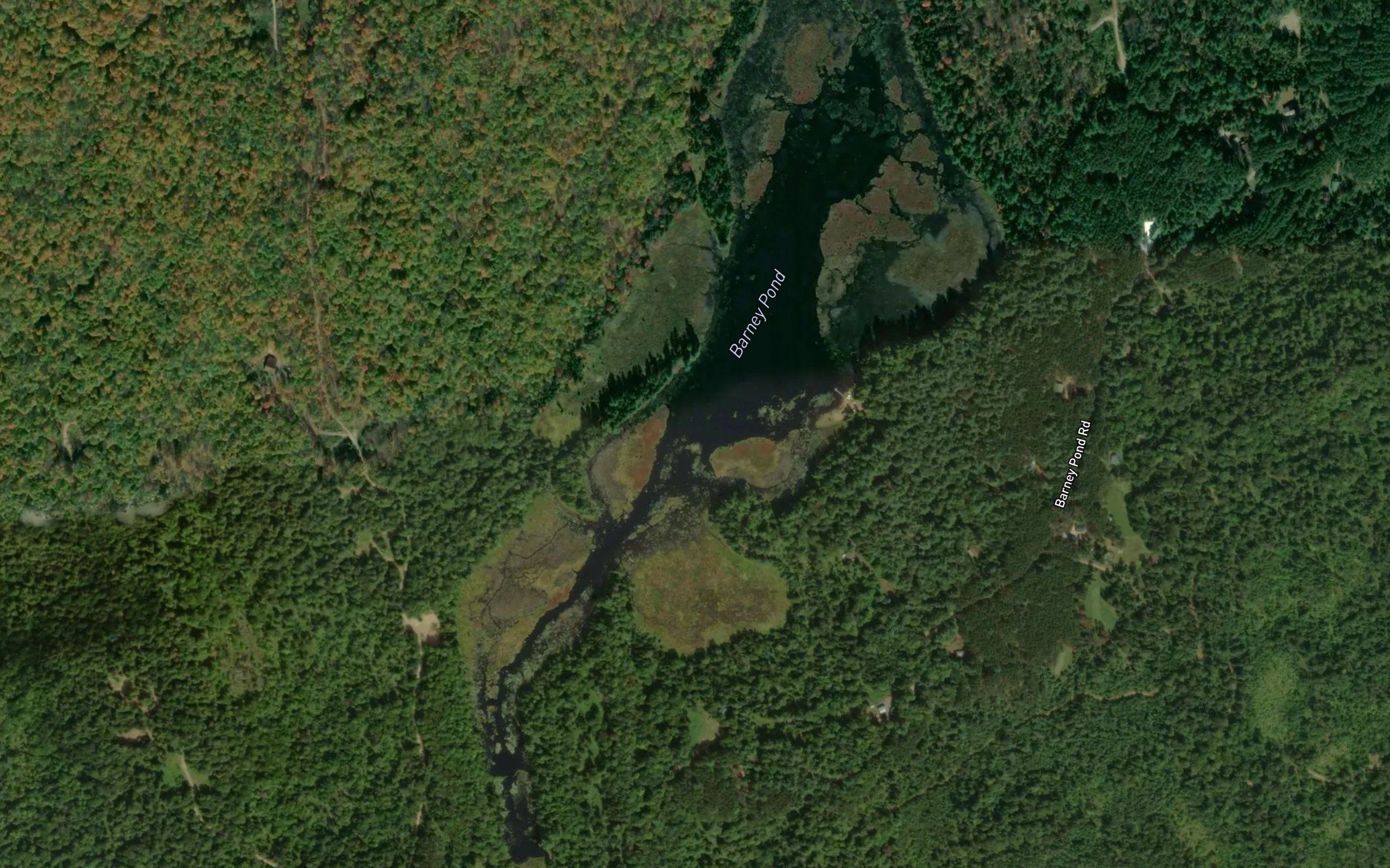 Barney Pond