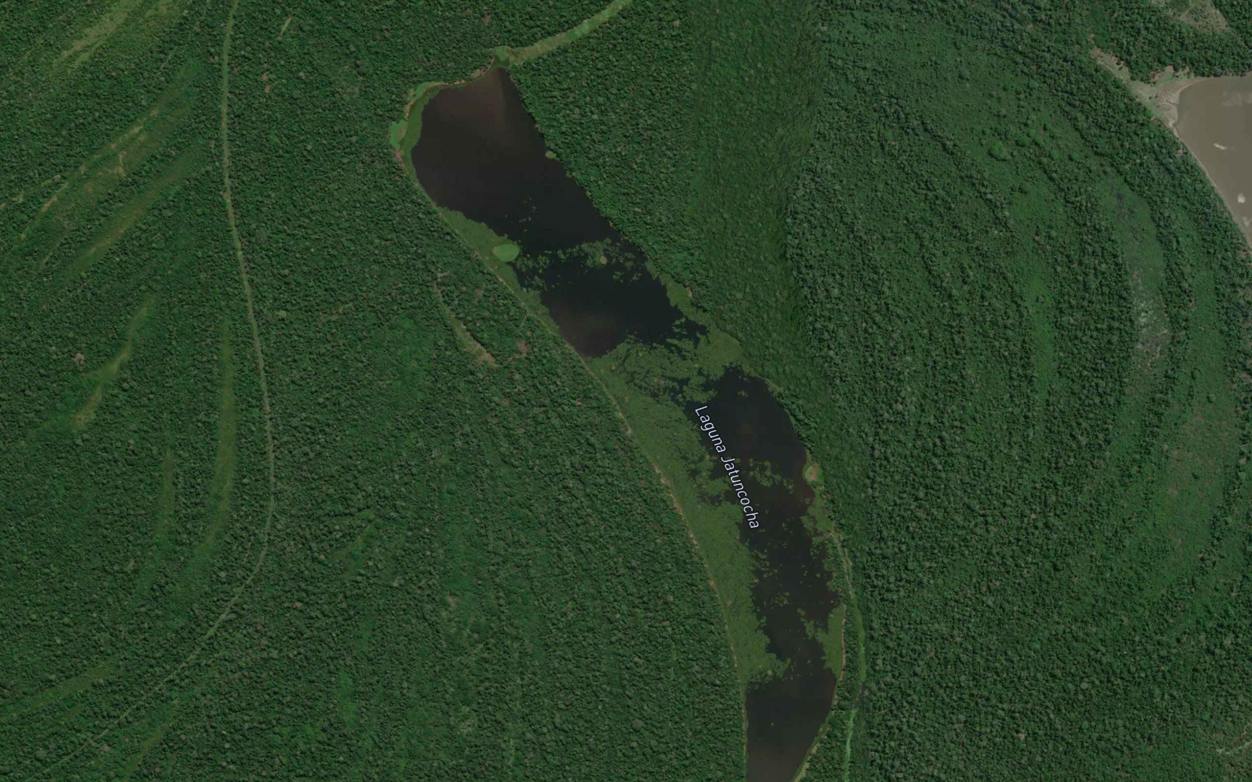 Laguna Jatuncocha
