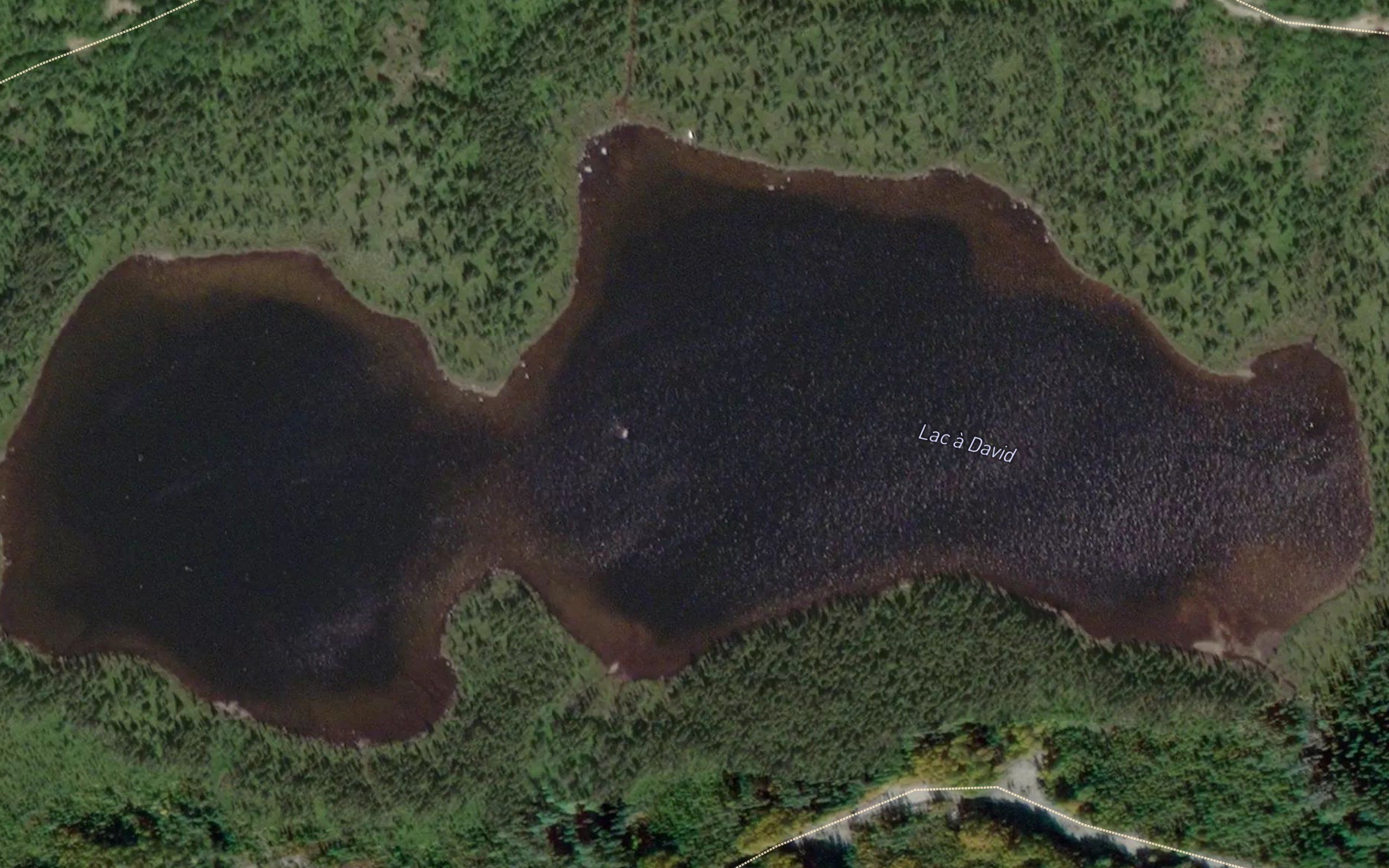 Lac a David