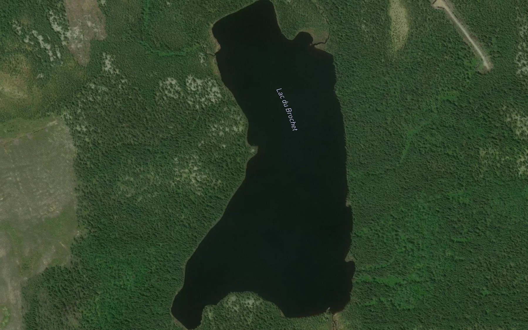 Satellite map of the Lac du Brochet