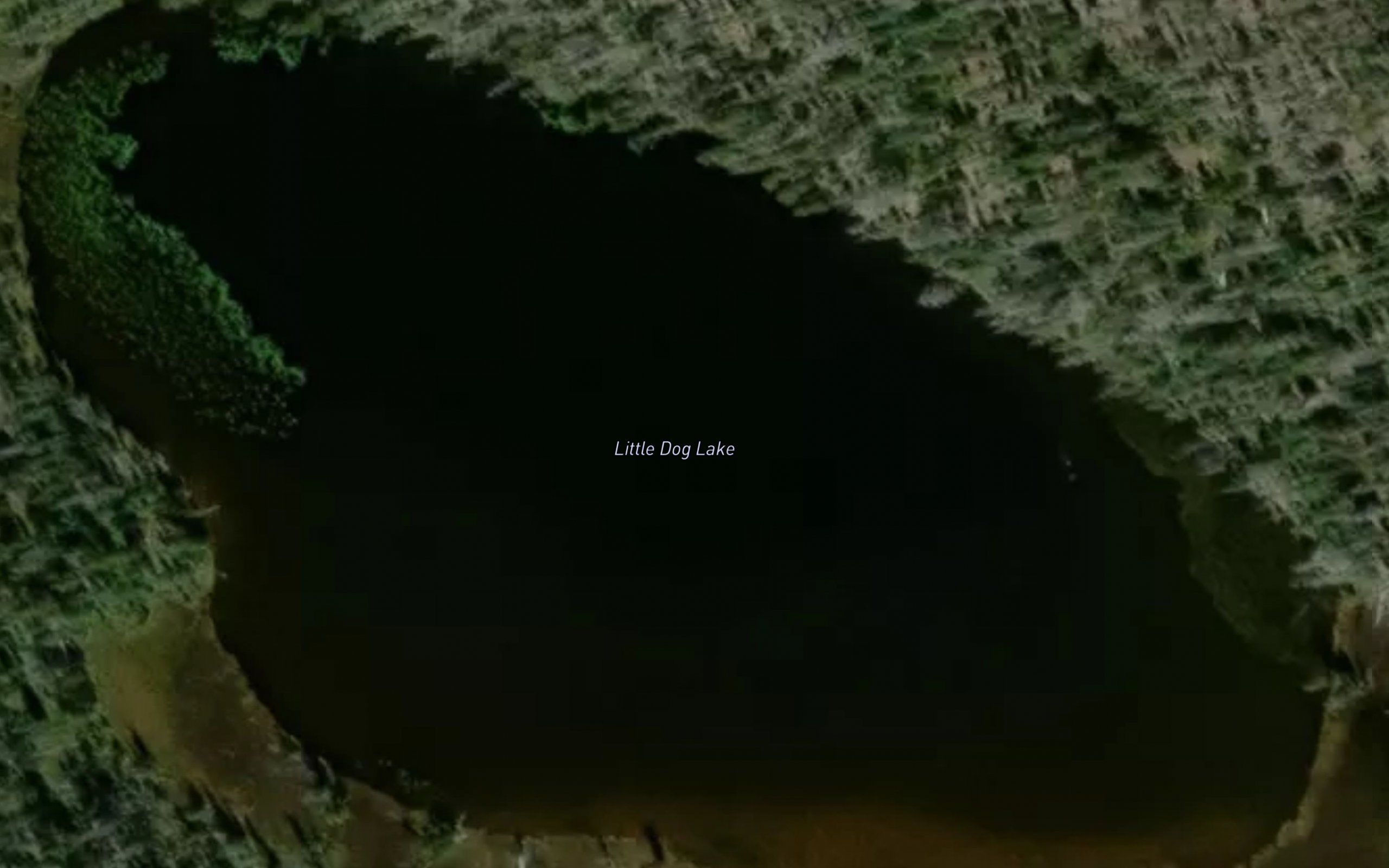Little Dog Lake