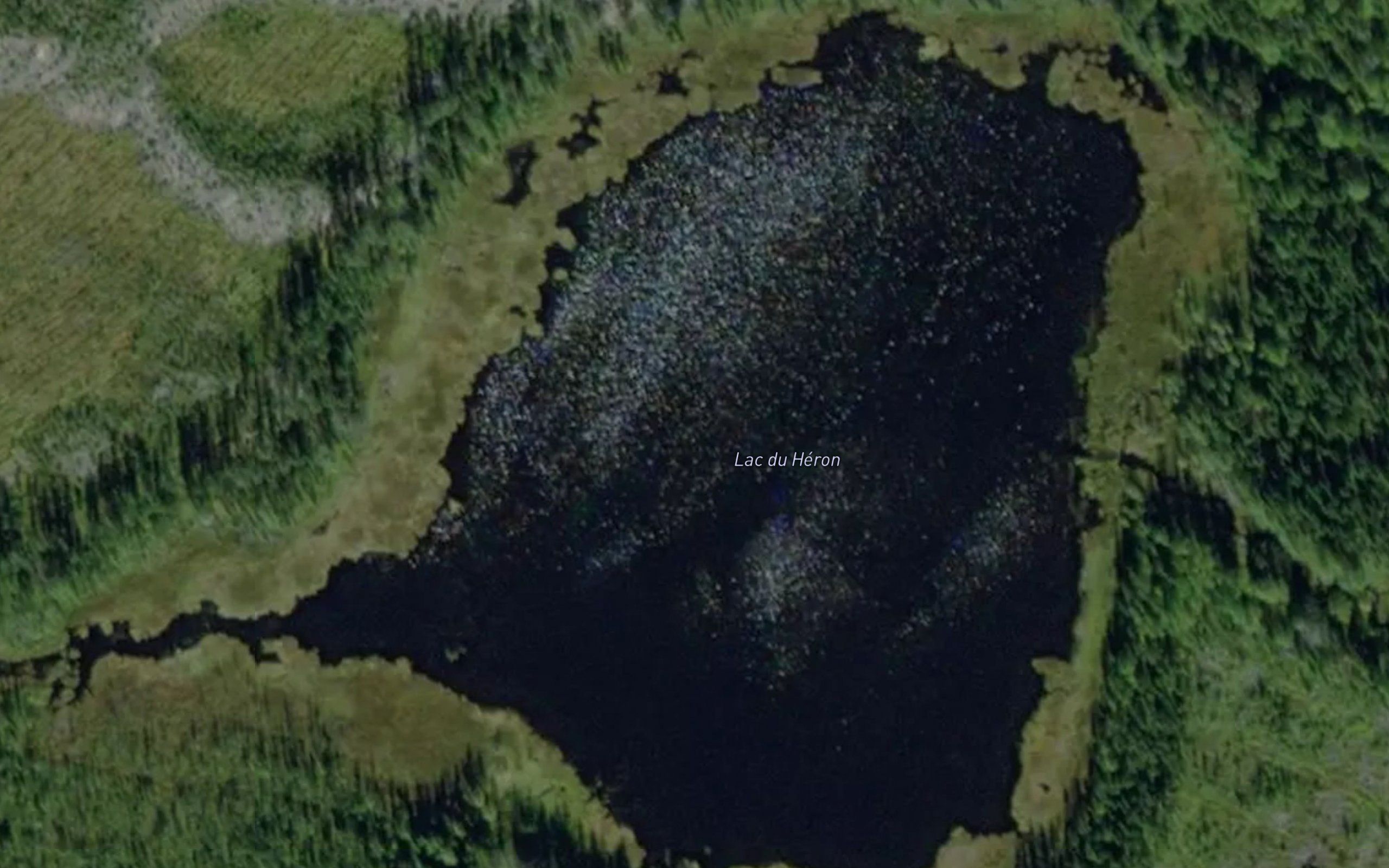 Lac du Heron