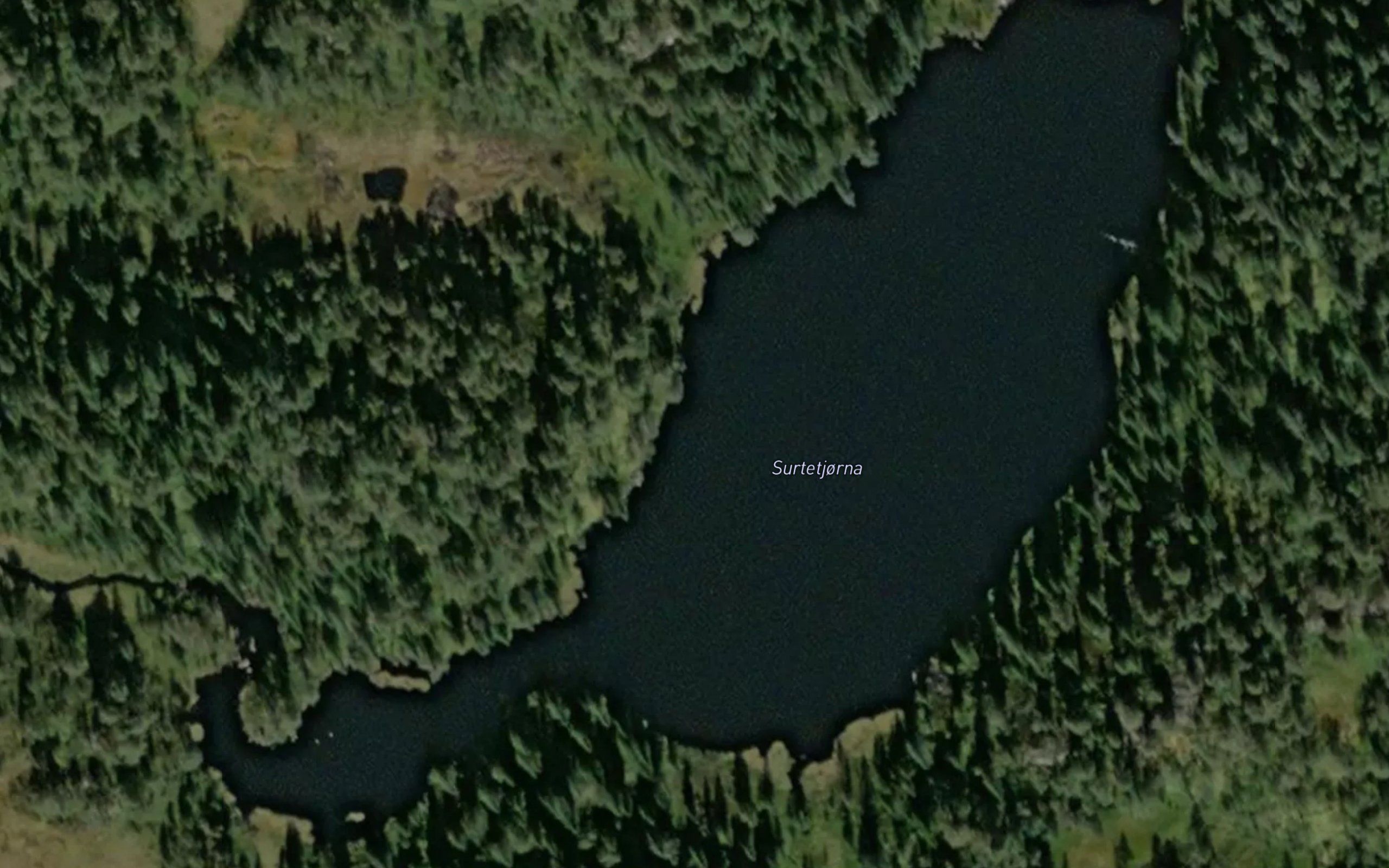 Surtetjorna