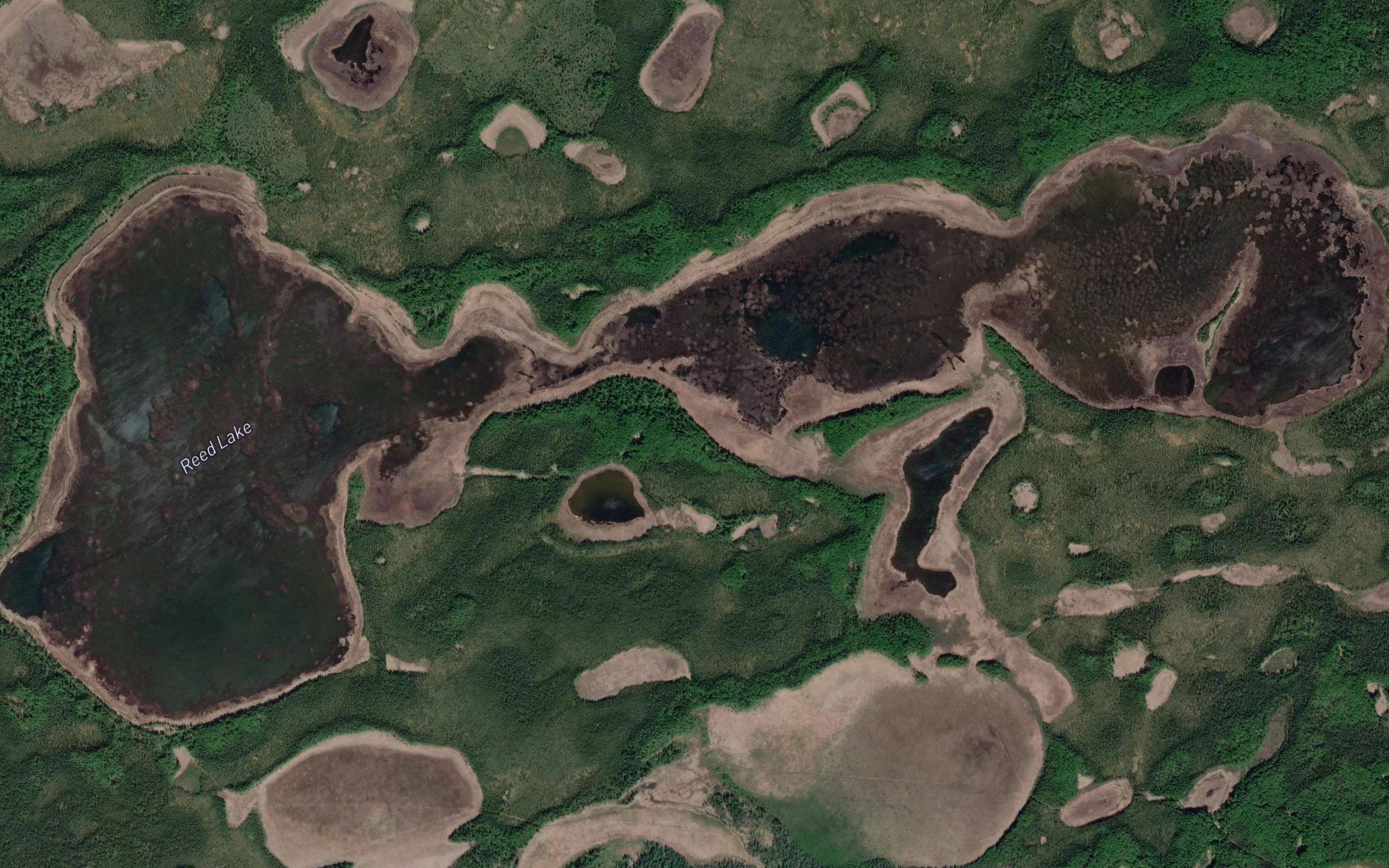 Reed Lake