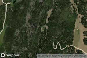 Bug Lake