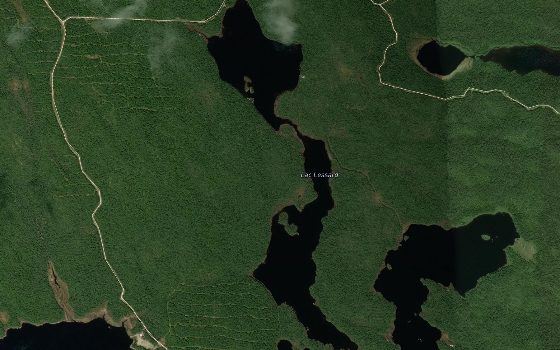 Satellite map of the Lac Lessard