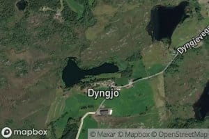 Dyngjetjorna