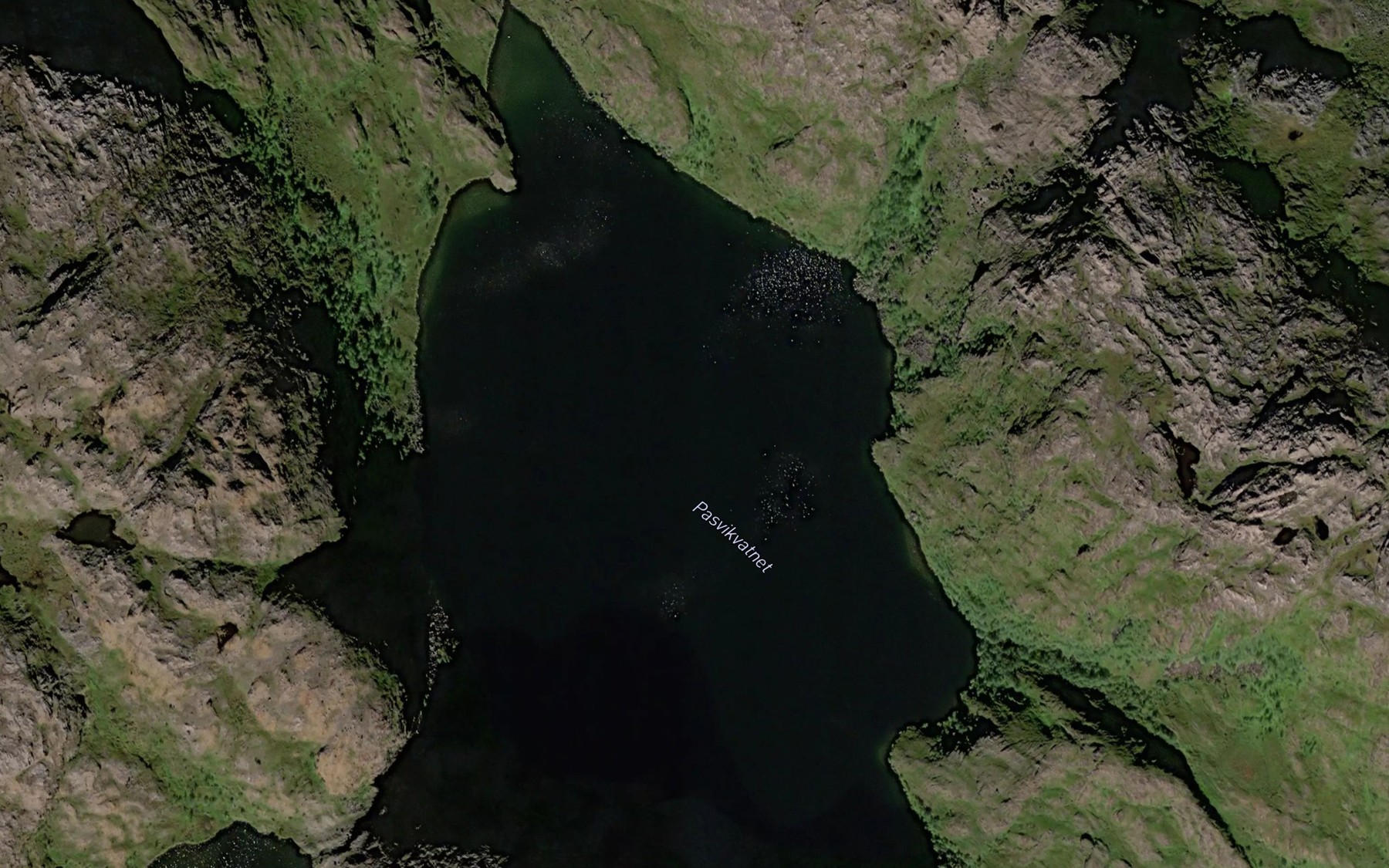 Satellite map of the Pasvikvatnet