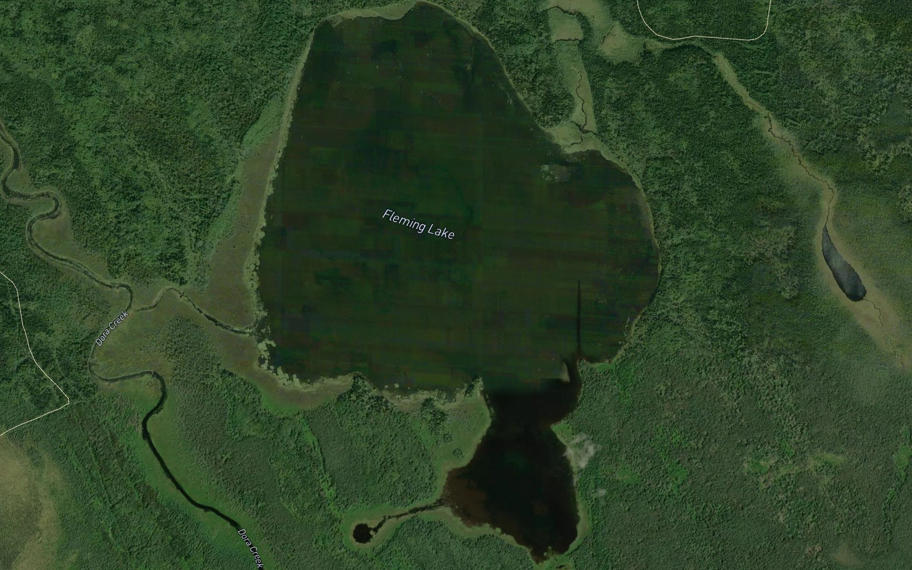Satellite map of the Fleming Lake