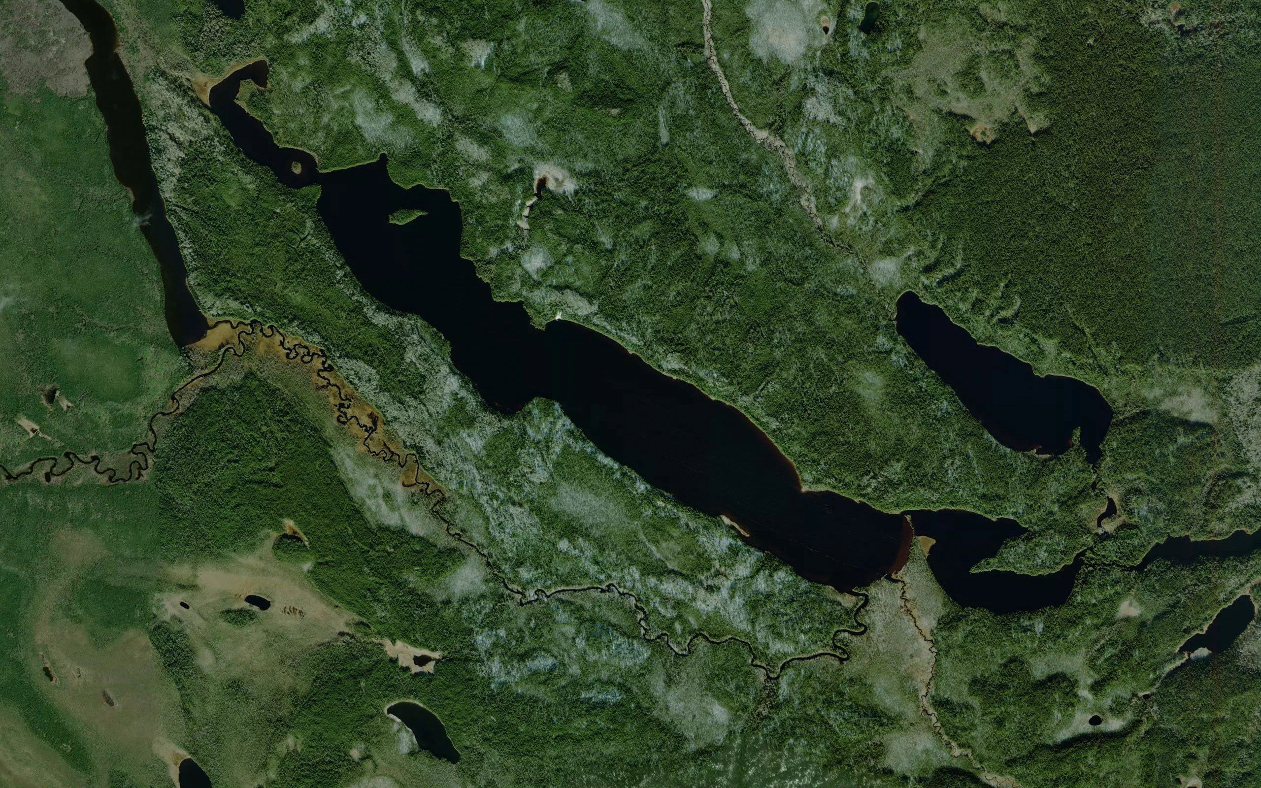 Musgrave Lake