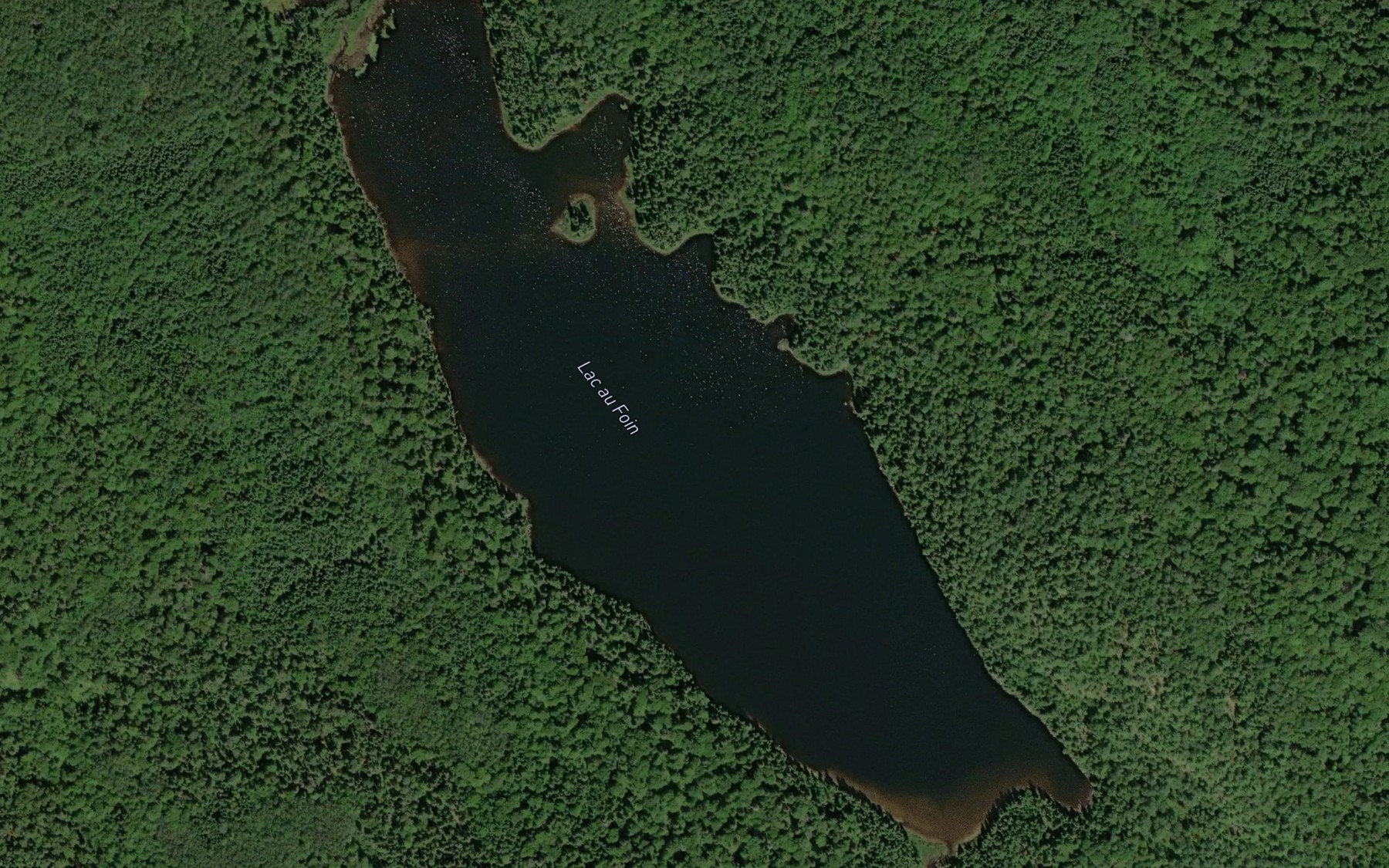 Satellite map of the Lac au Foin