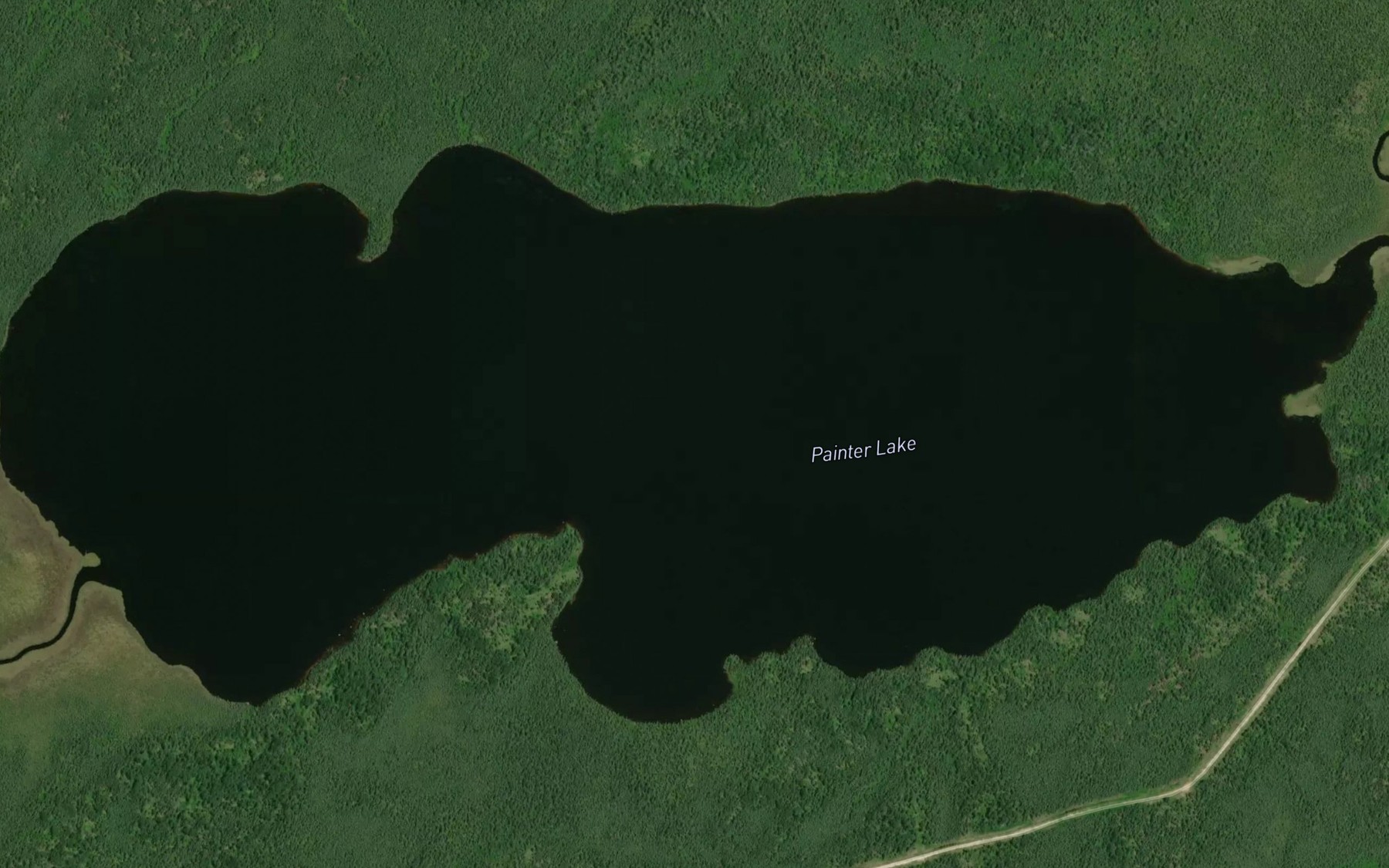 Satellite map of the Painter Lake