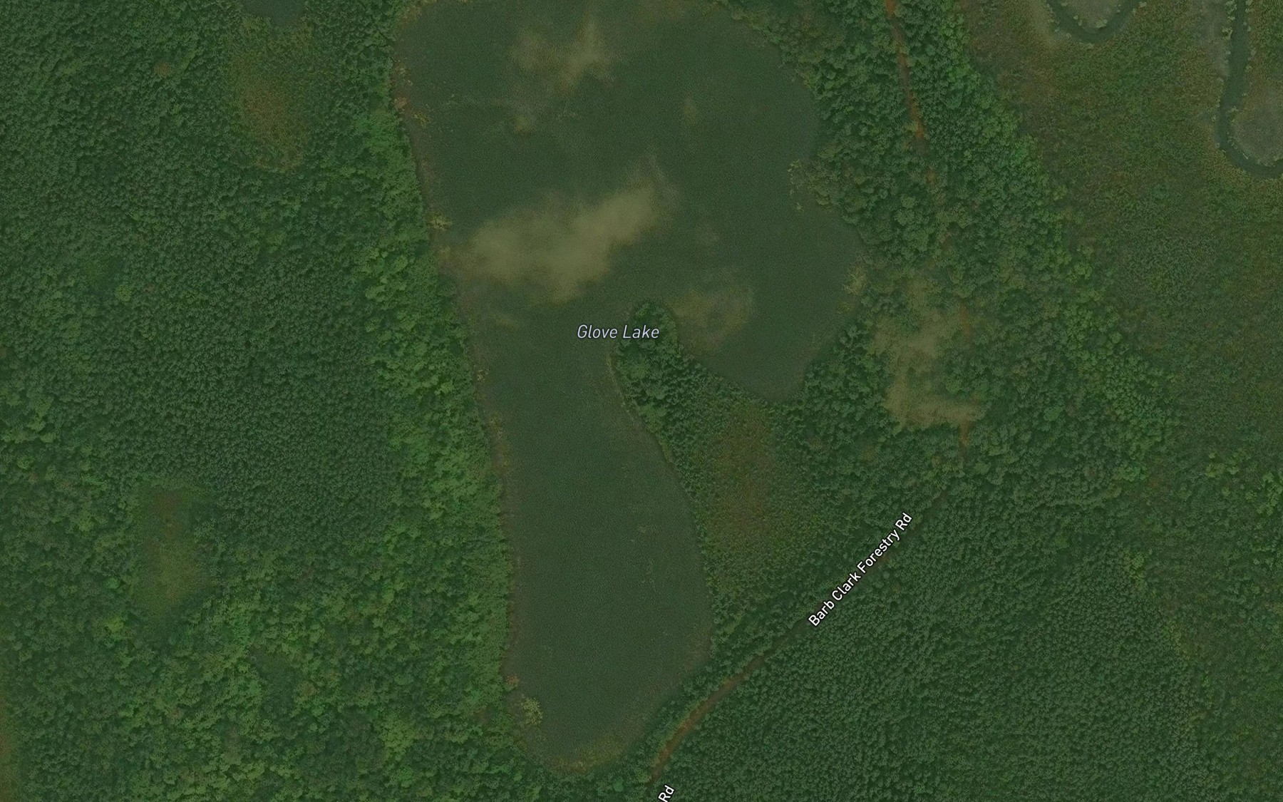 Satellite map of the Glove Lake