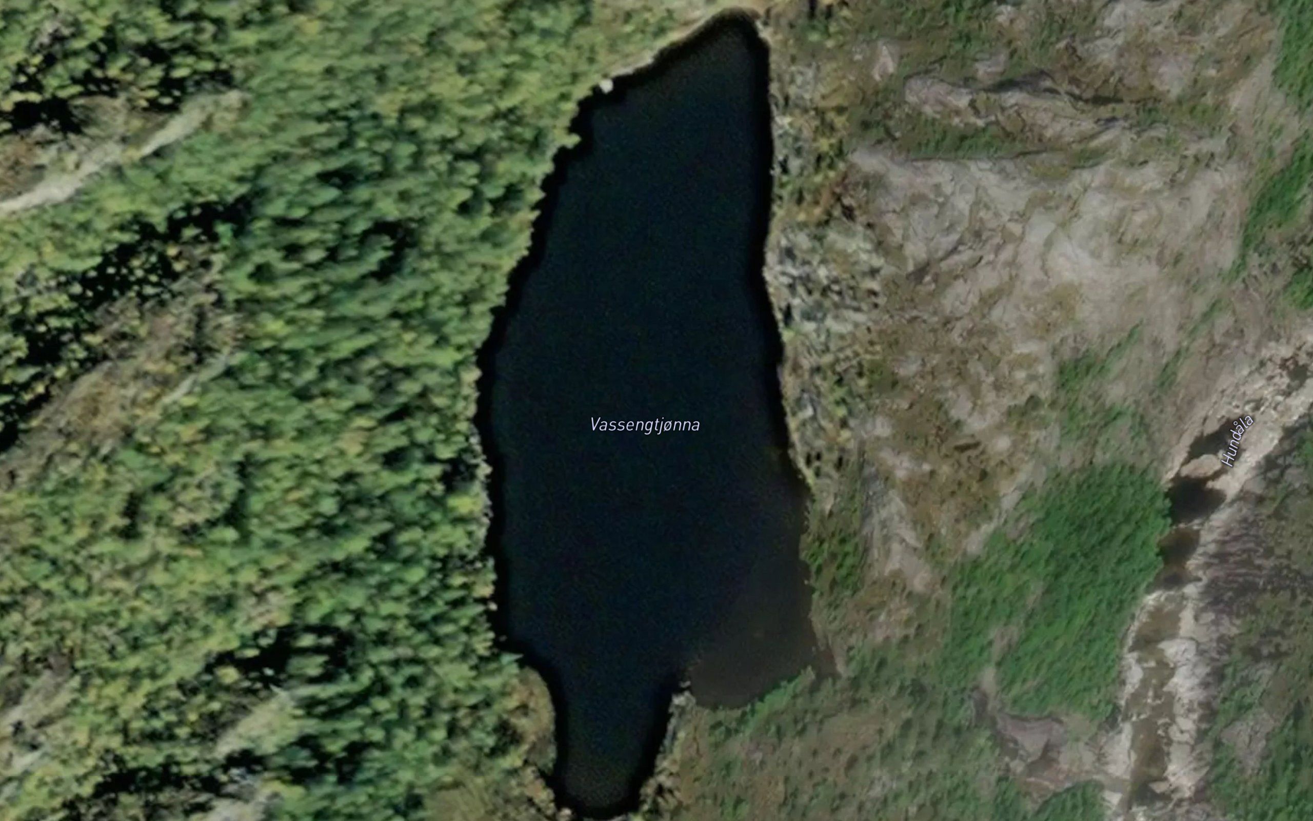 Vassengtjonna