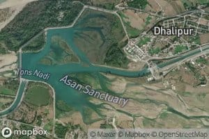 Yamuna Project Canal