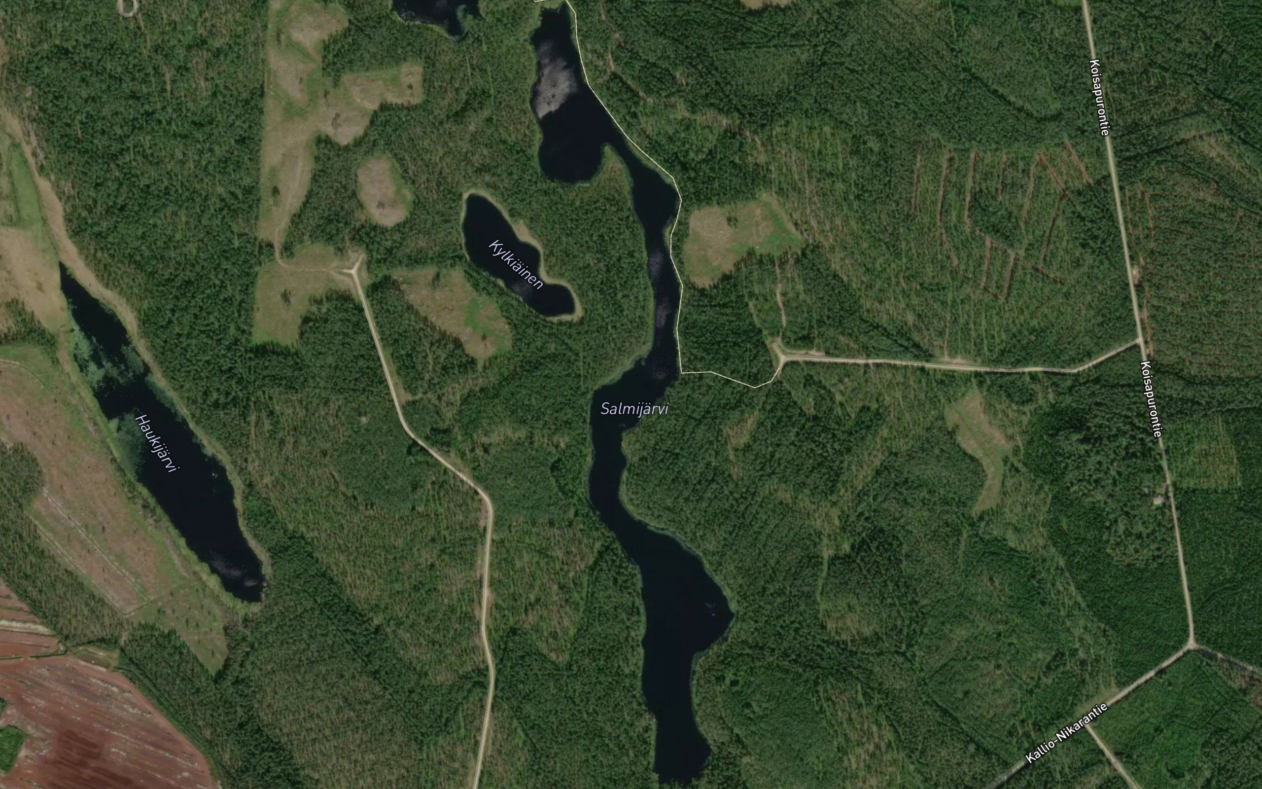 Salmijarvi