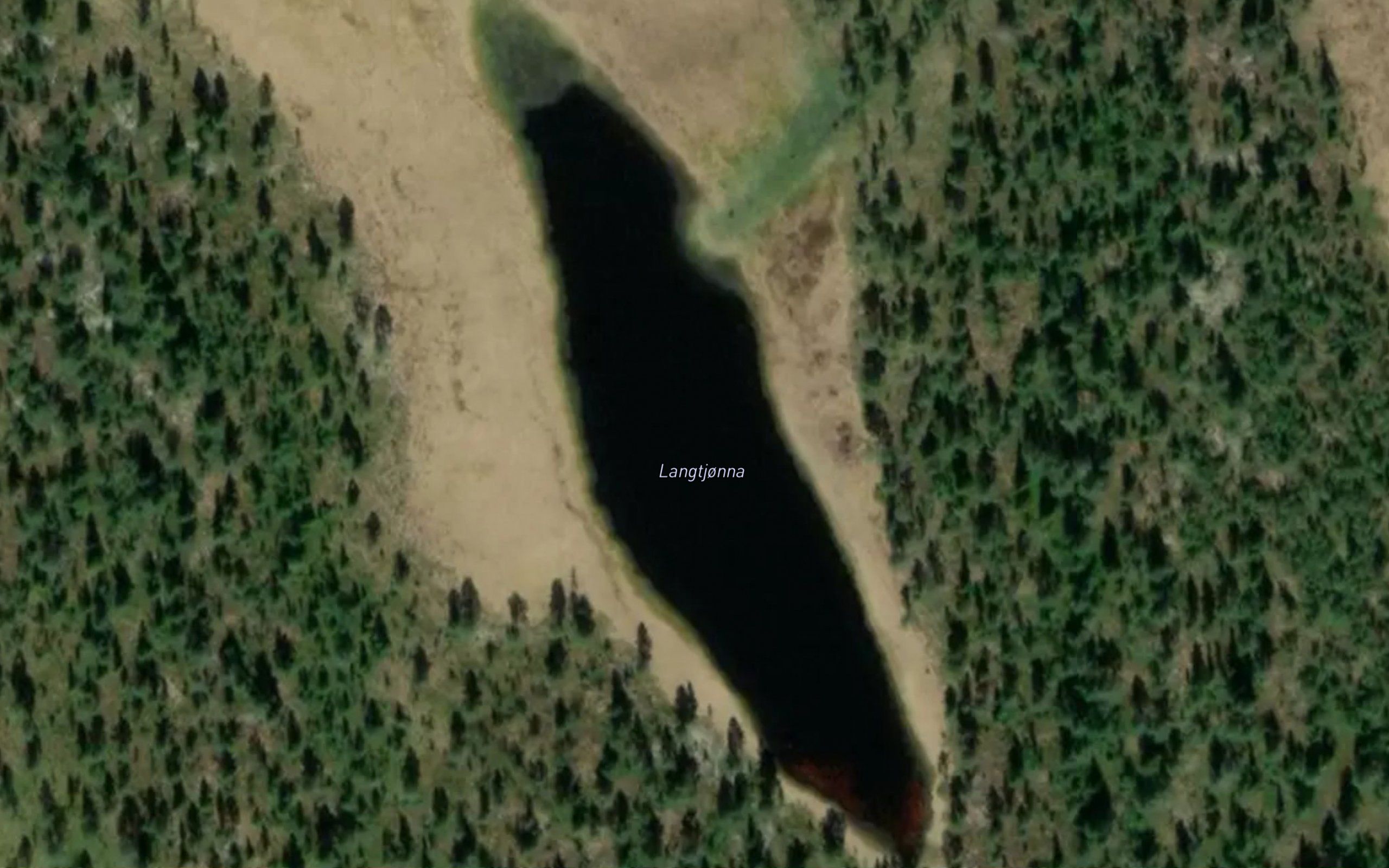 Langtjorna