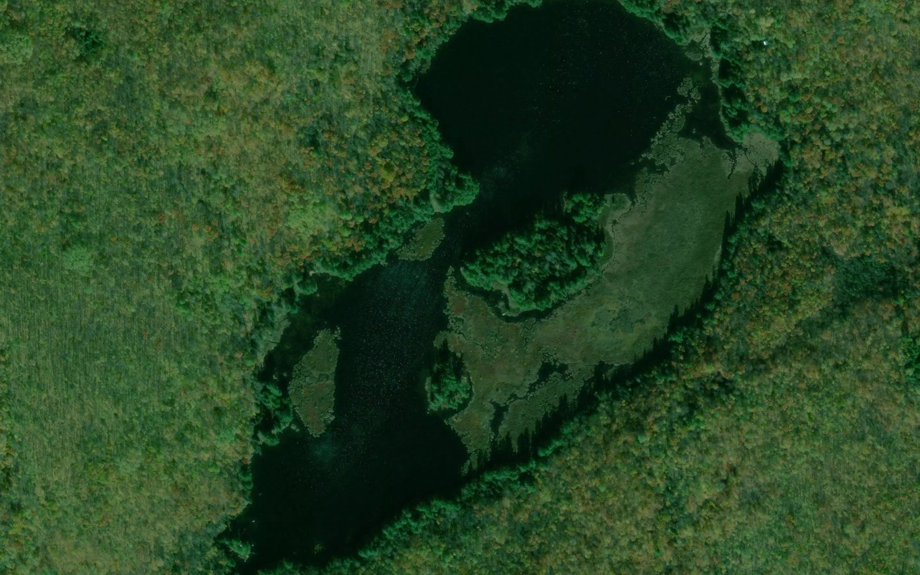 Satellite map of the Lac de la Canneberge