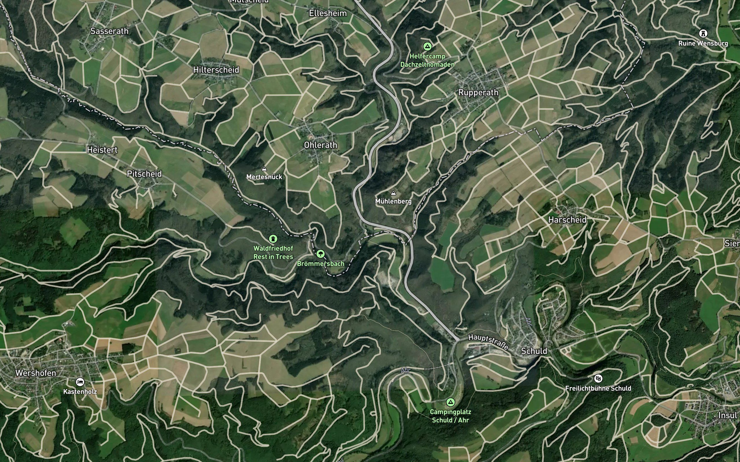Buchholzbach