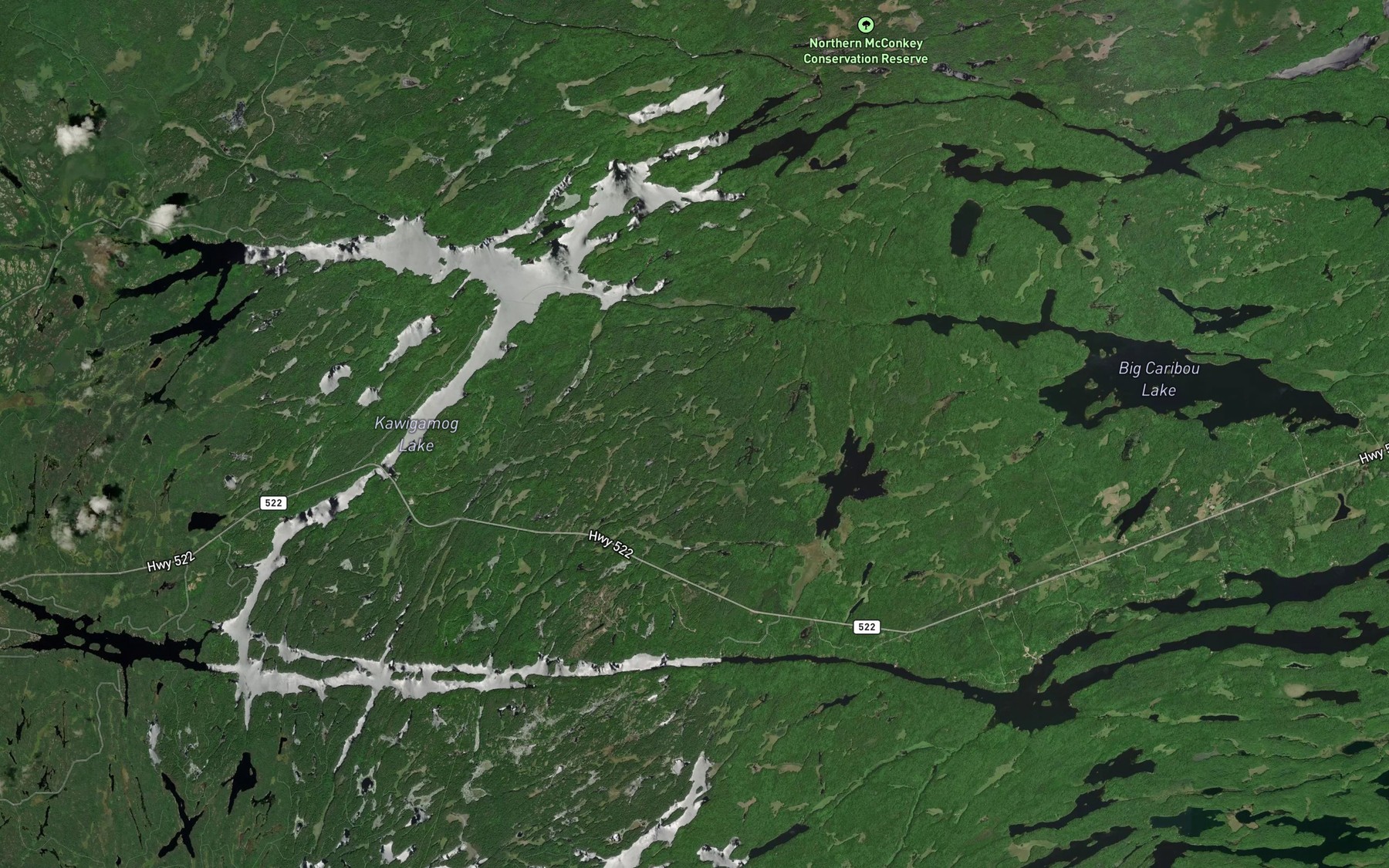 Satellite map of the Kawigamog Lake