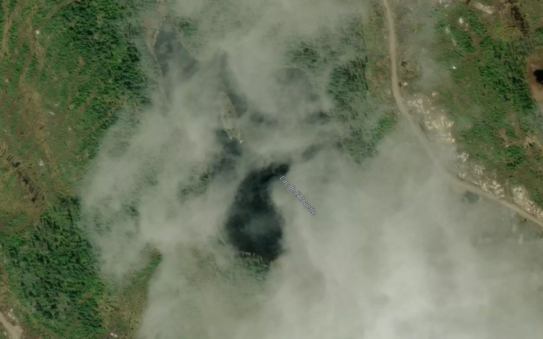 Satellite map of the Lac de l'Alouette