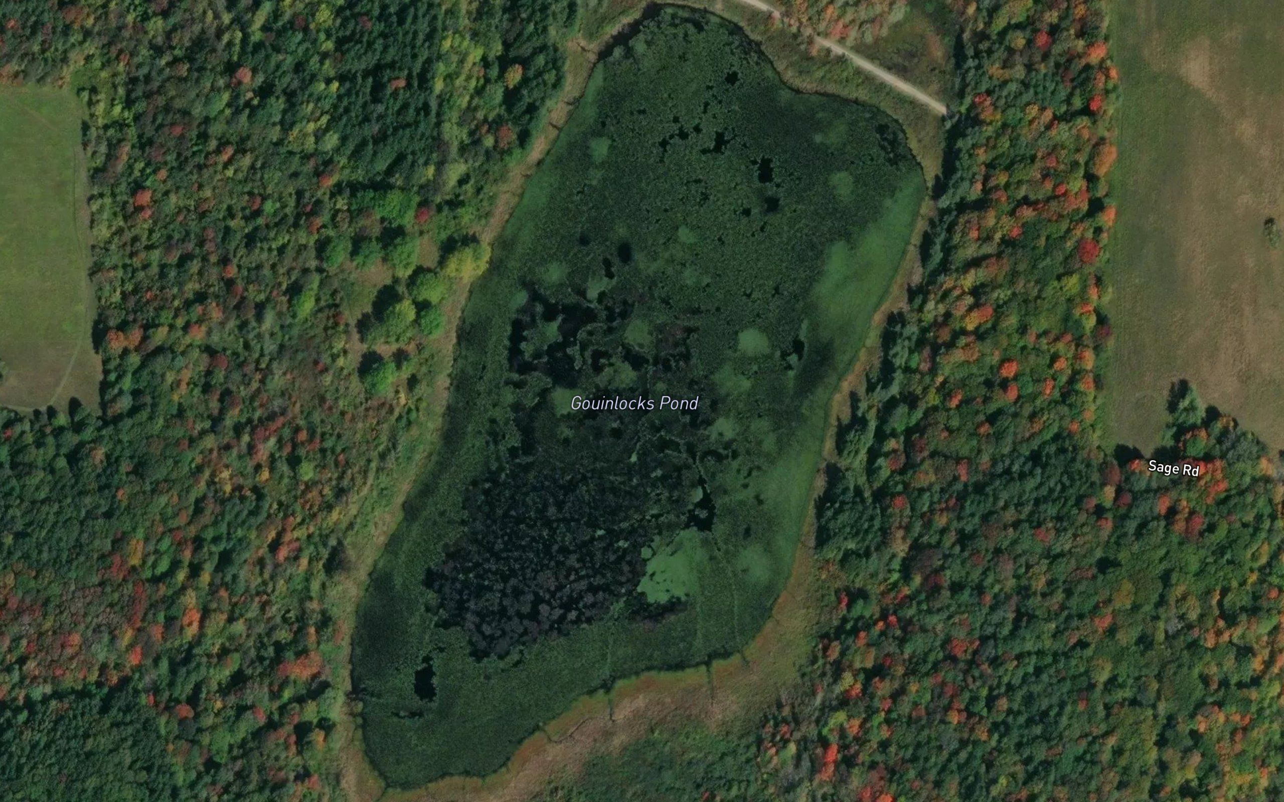 Gouinlocks Pond