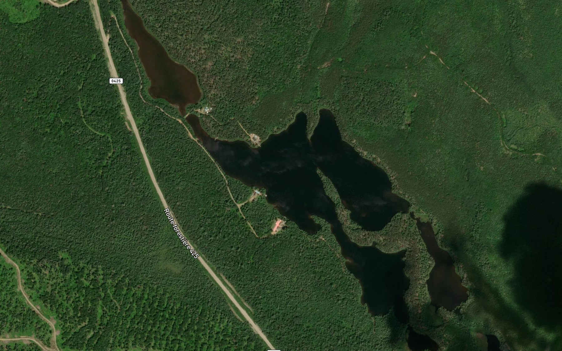 Satellite map of the Lac Serpent