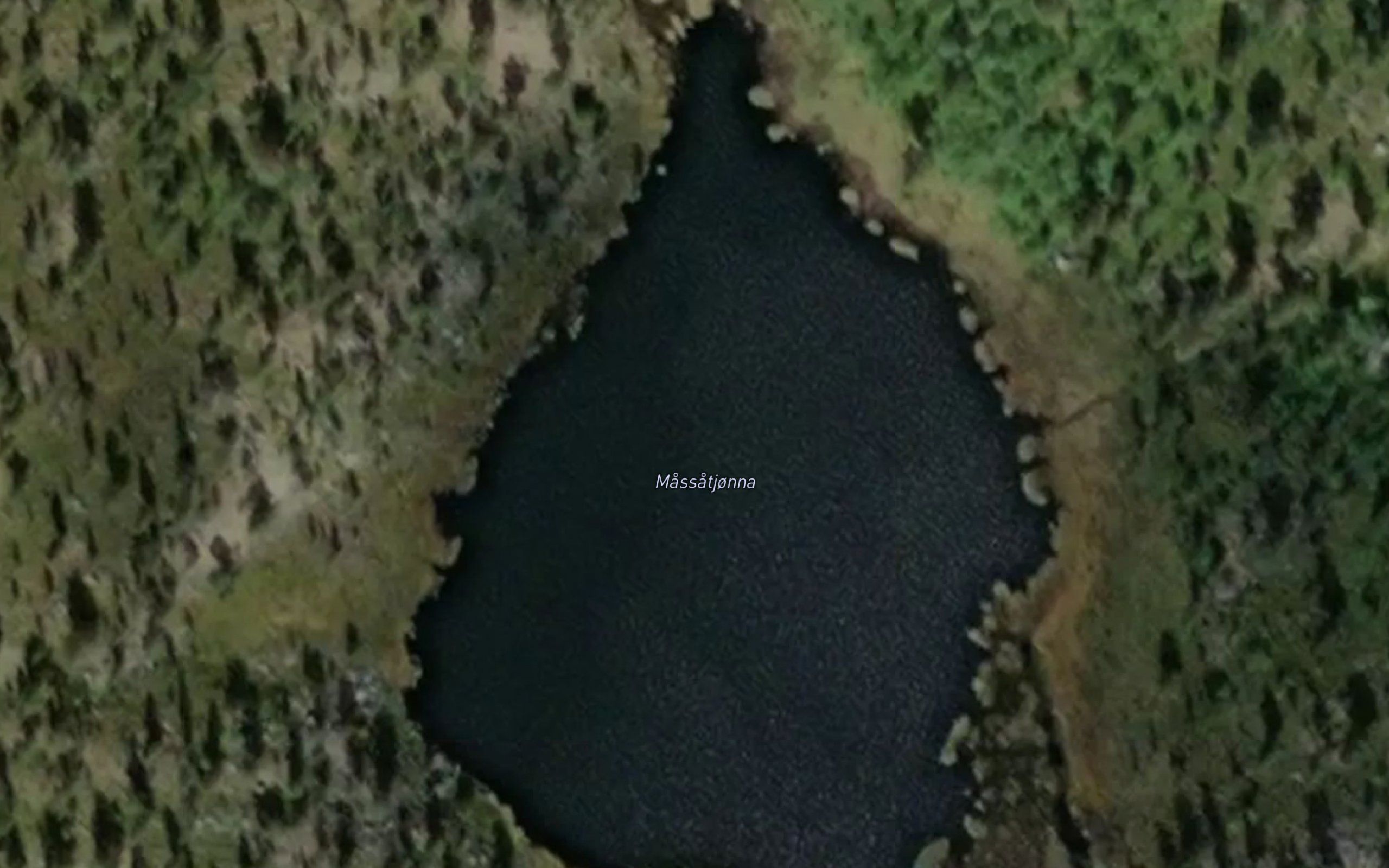 Massatjorna