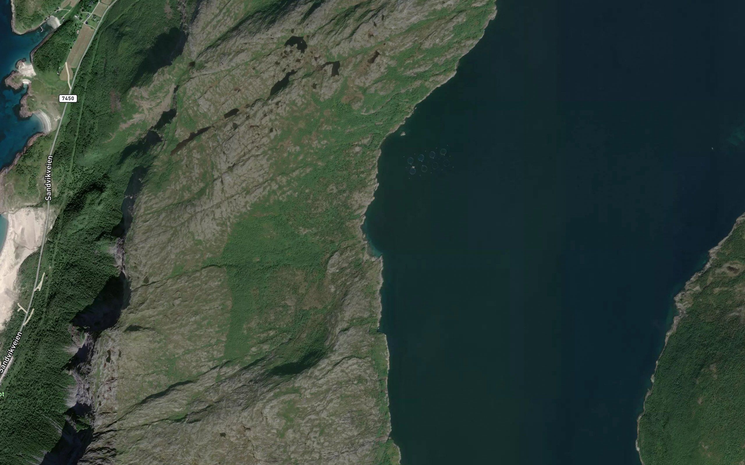 Kjolvika