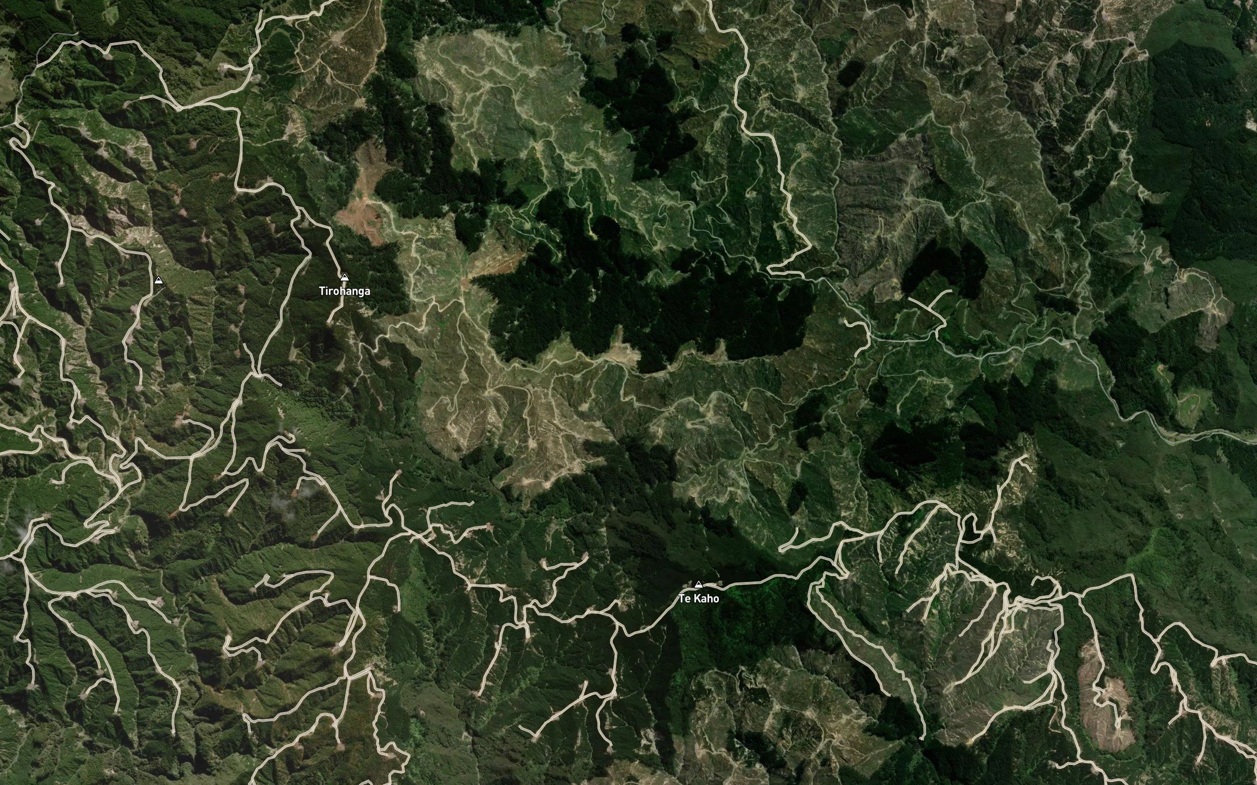 Te Kokokakahi Stream