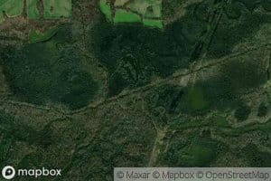 Little Bayou de Chien