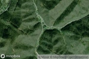 Right Fork Beehive Branch