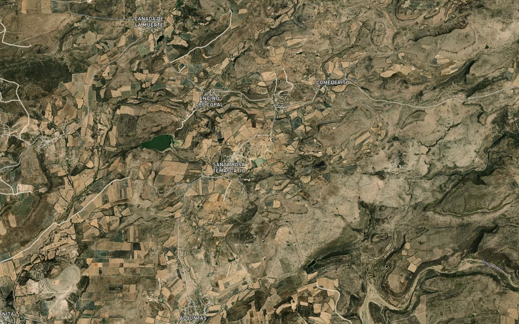 Satellite map of the Presa de Guadalupe