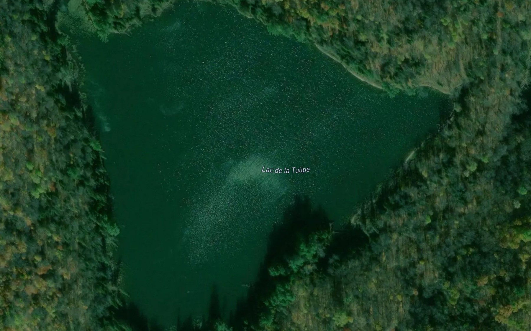 Satellite map of the Lac de la Tulipe