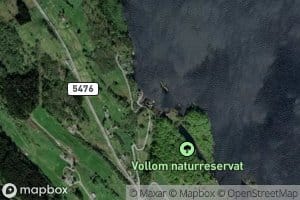 Valleviki