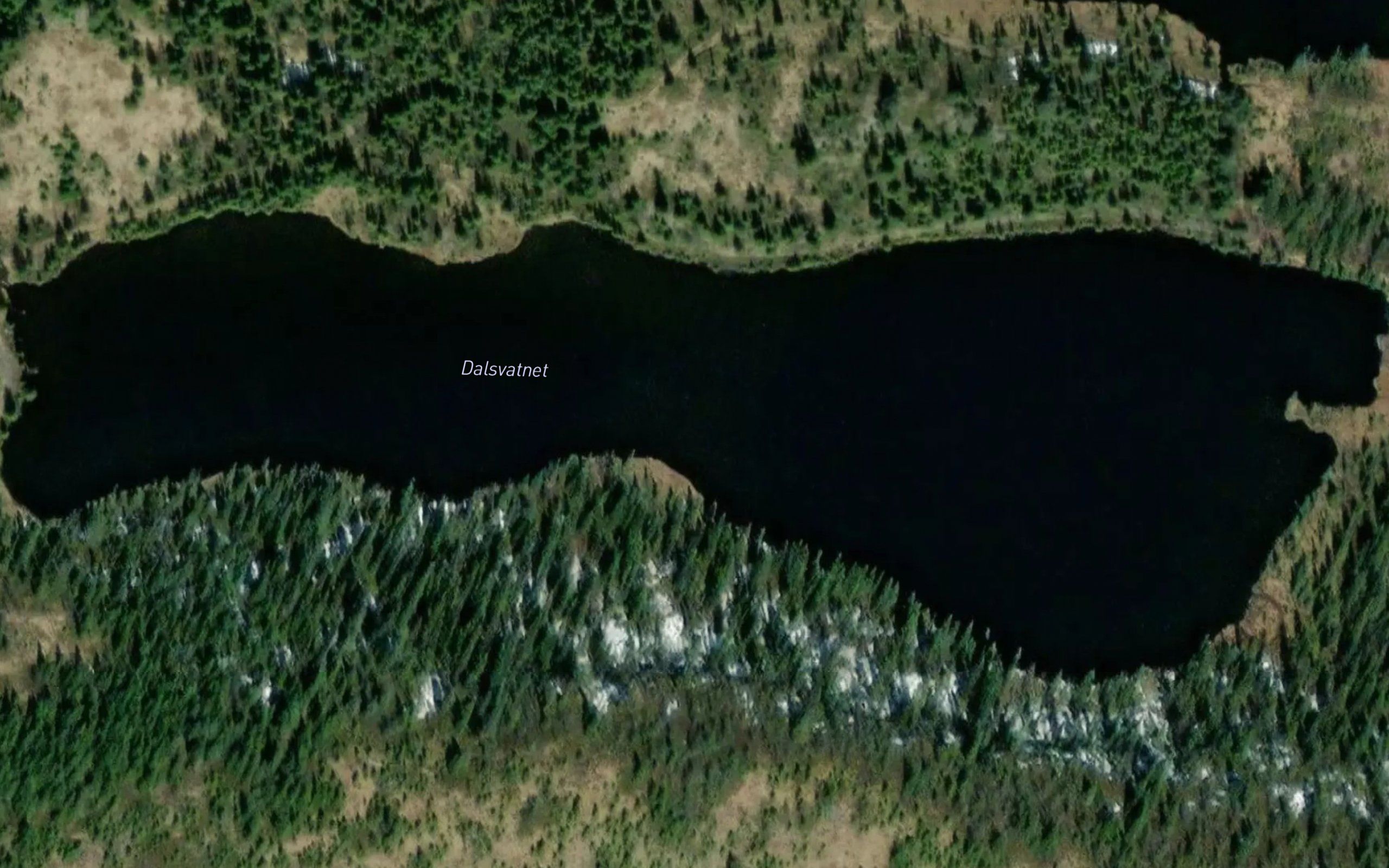 Dalsvatnet