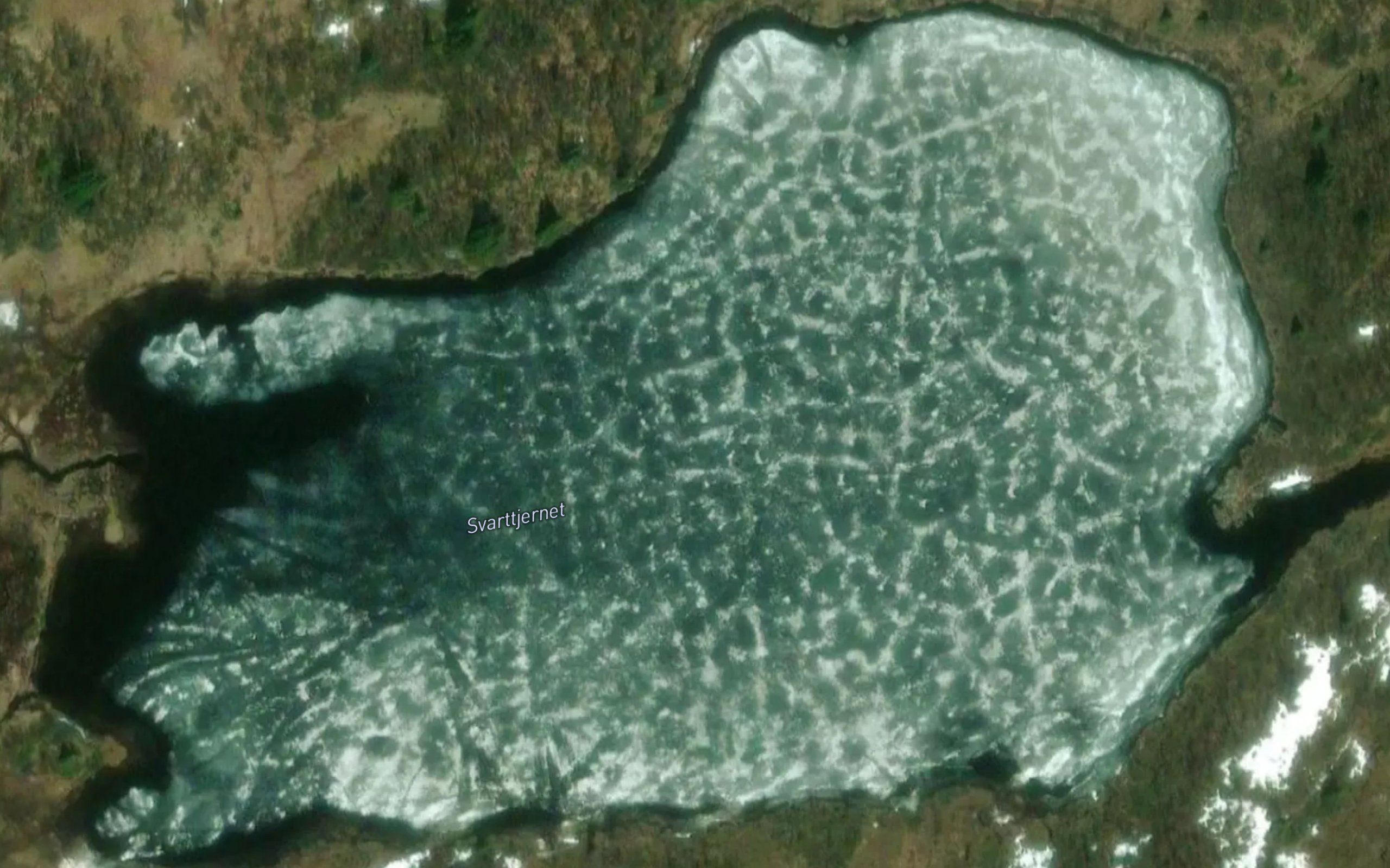 Svarttjern