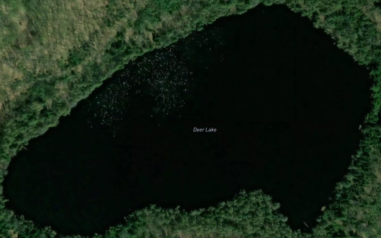 Deer Lake Fishing near Crandon, WI | Fishbox