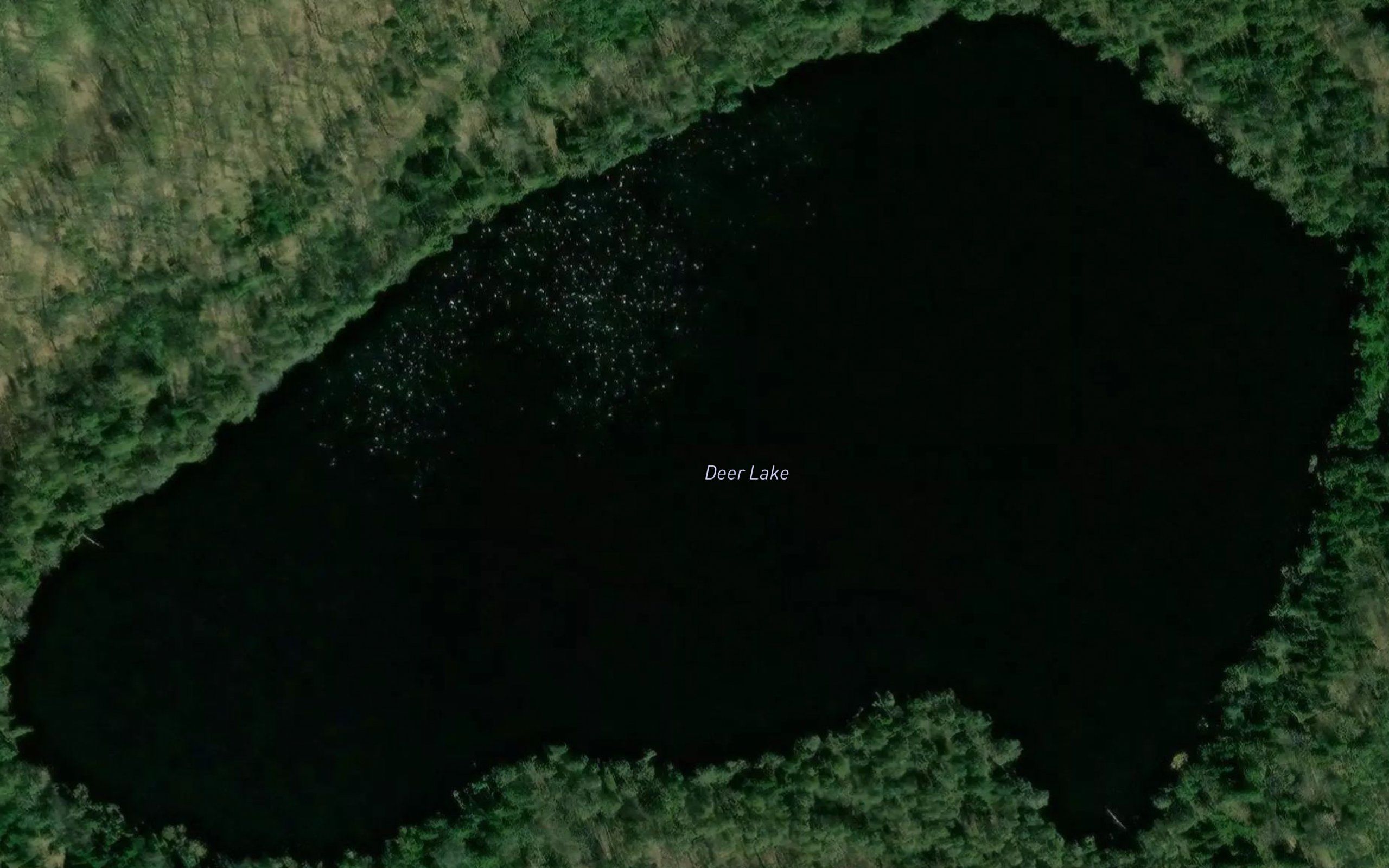 Deer Lake